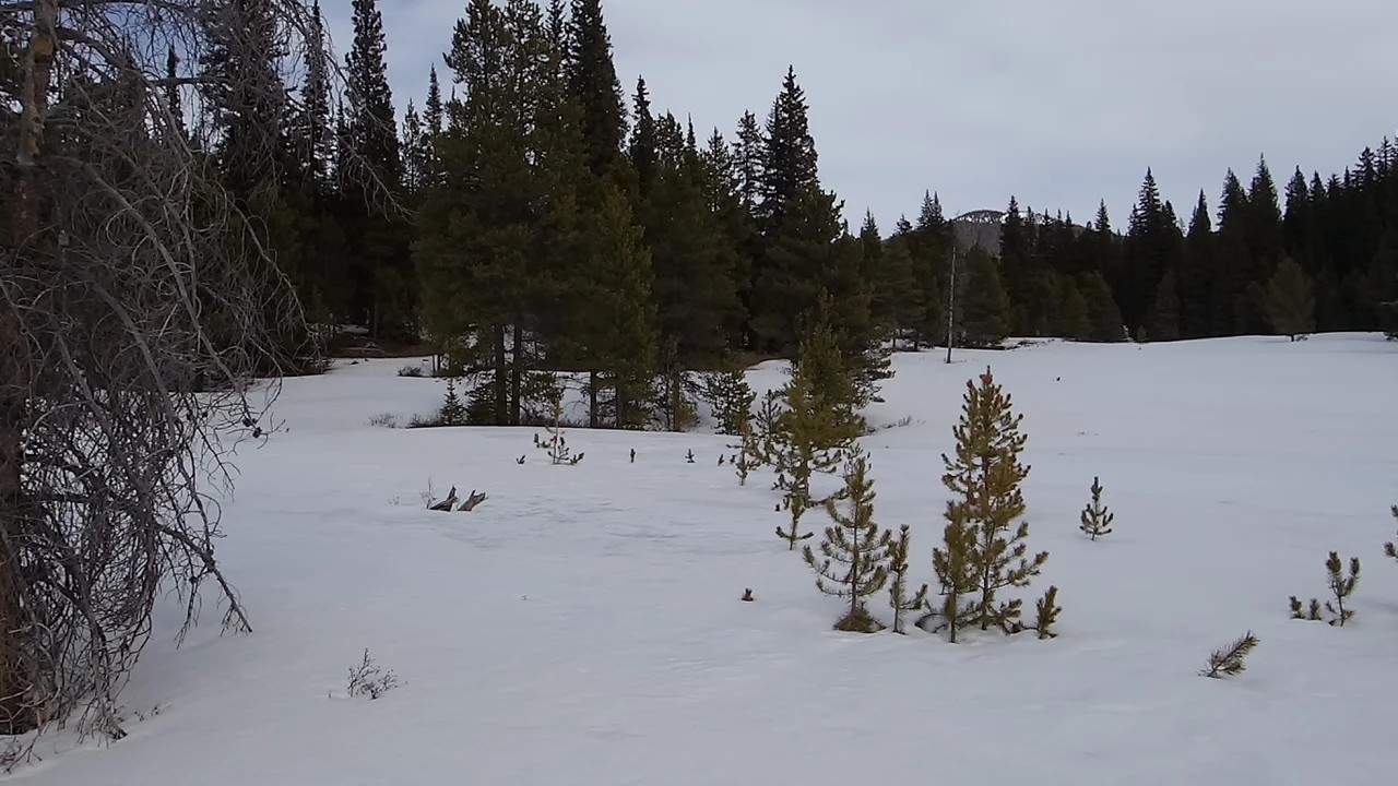 Looking at landscape near Willow Creek sample area.
