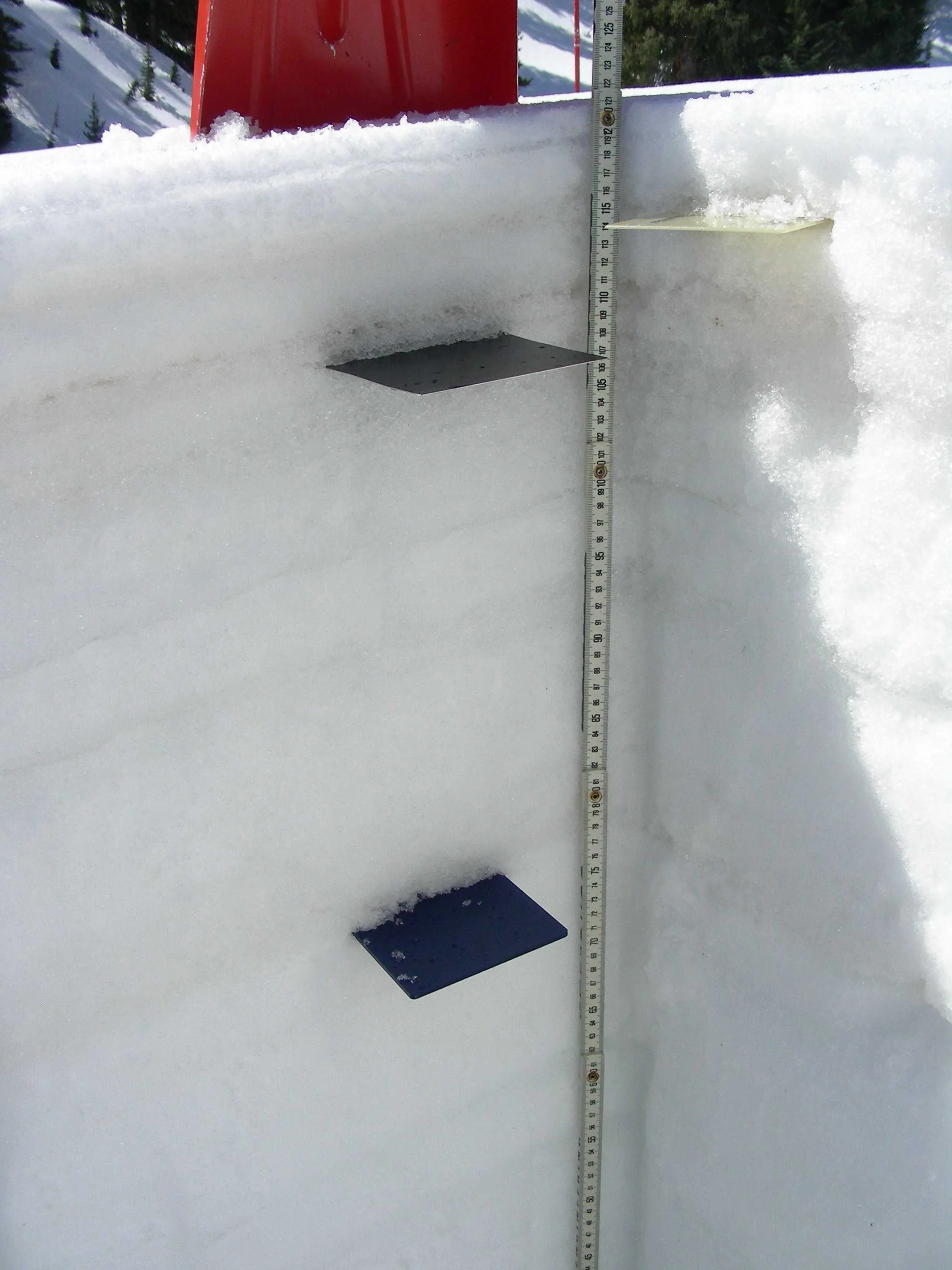 SASP on the morning of April 25. D6-D7 is 2" under the surface with D3-D5 slightly beneath. D2 is about 1' beneath D3-D5. 