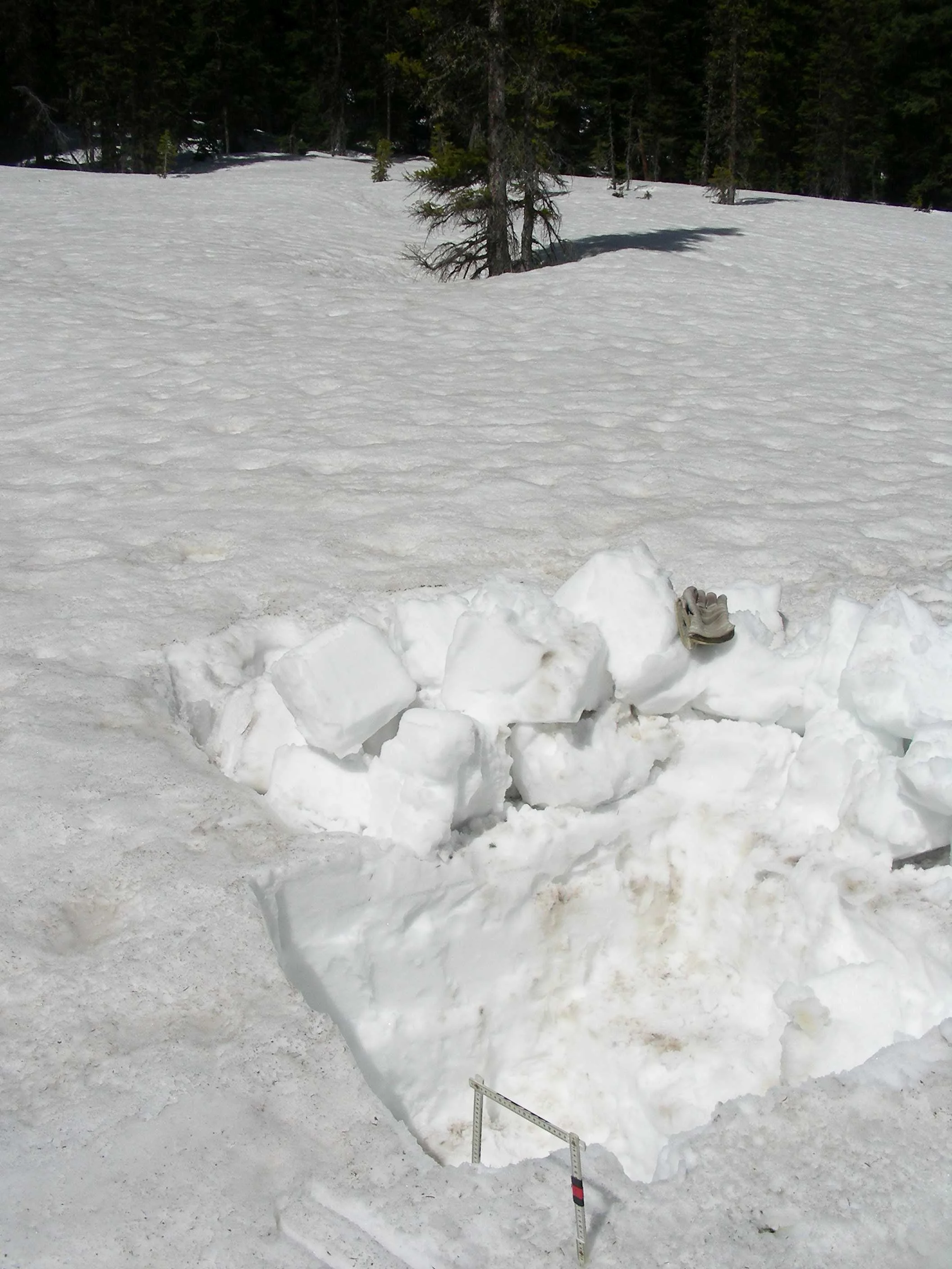 View of snow pit and surrounding landscape at Rabbit Ears Pass.
