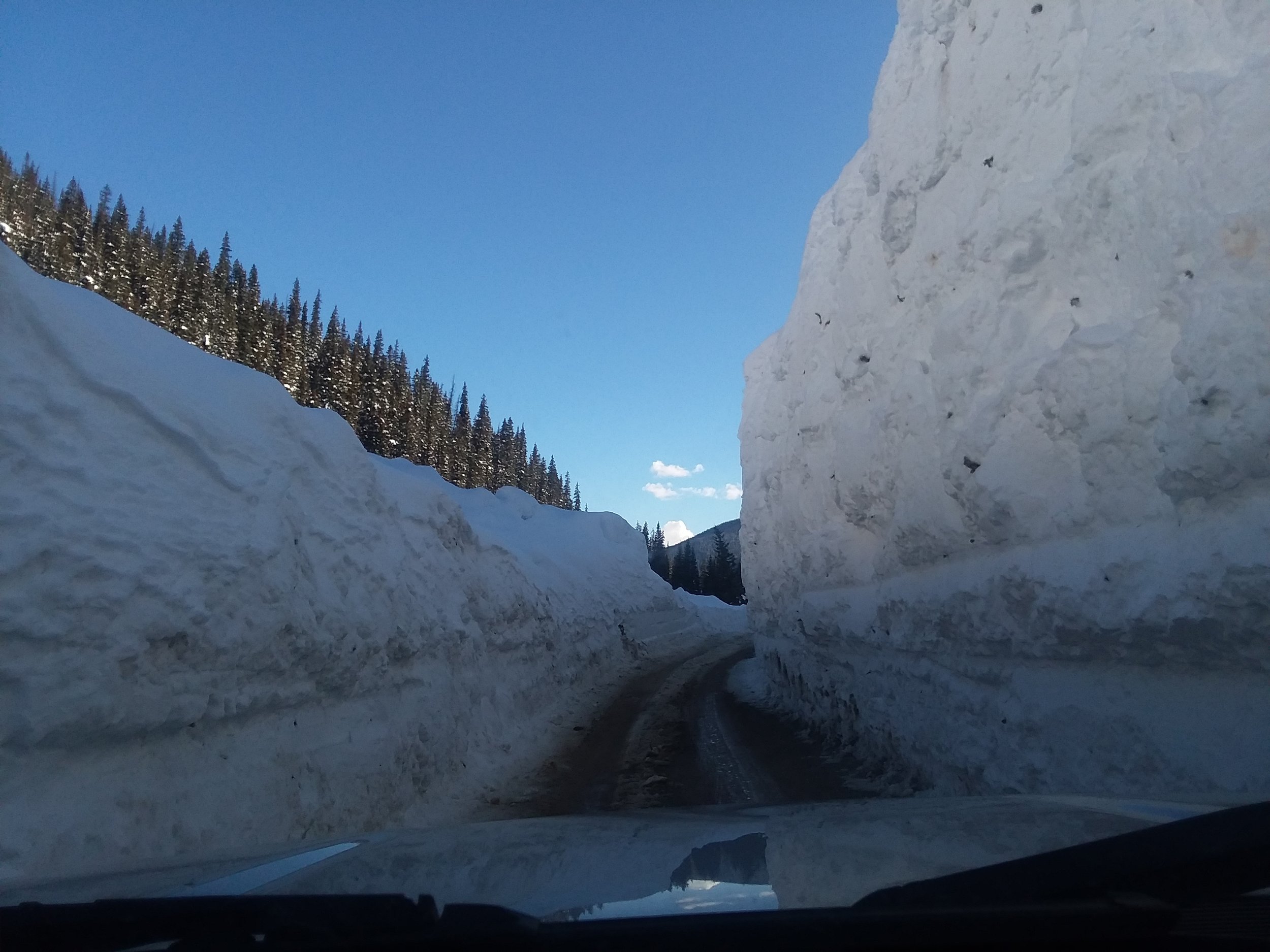 Minnesota Gulch, Photo by Krista Beyer