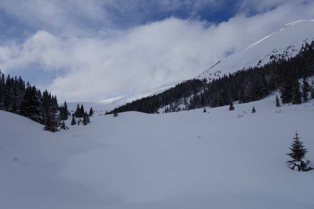 DSC00774.jpeg
