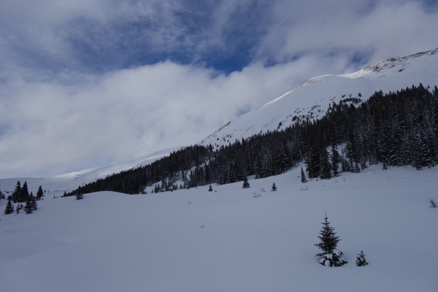 DSC00775.jpeg