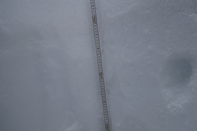 DSC00727.jpeg