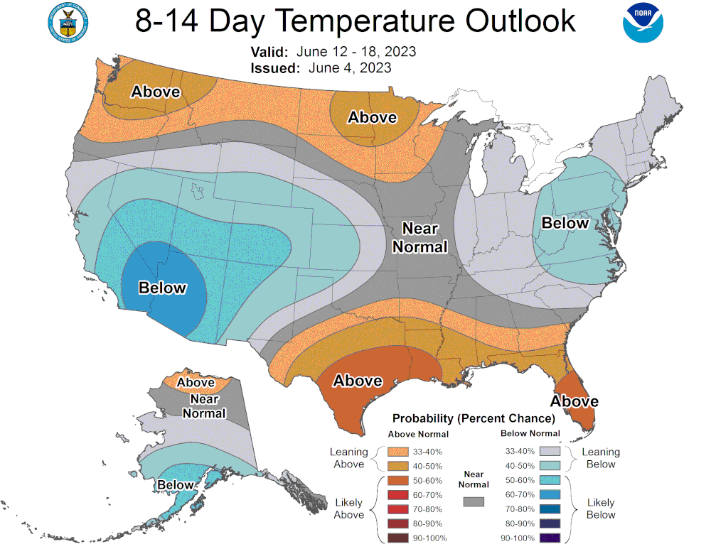 814temp.new.gif