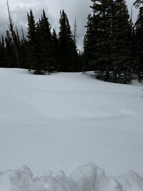 image6333.jpeg