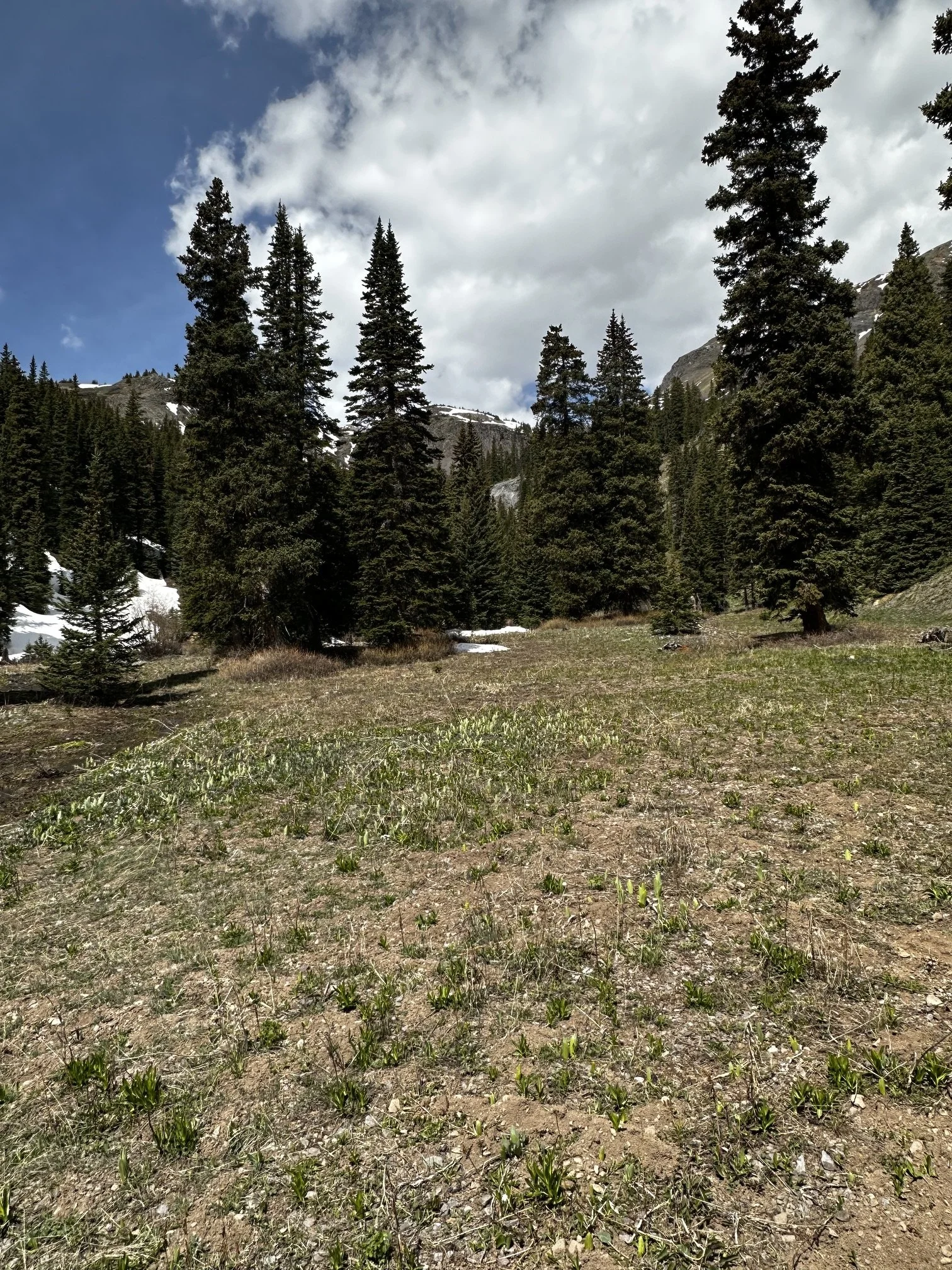 image01 (4).jpeg