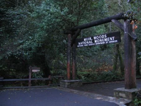 Image of Muir Woods
