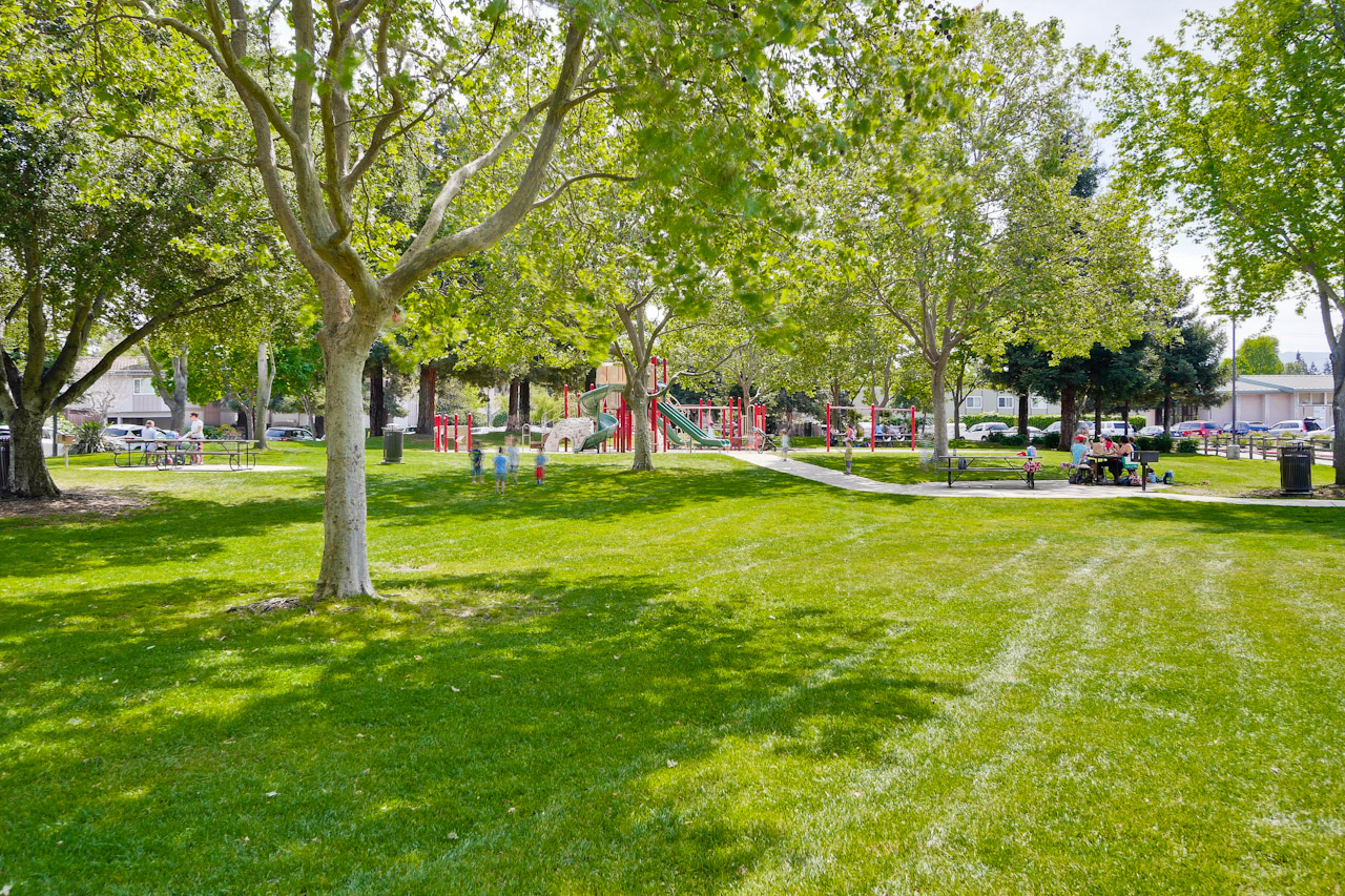 Whisman Park Mt. View 3_mls.jpg