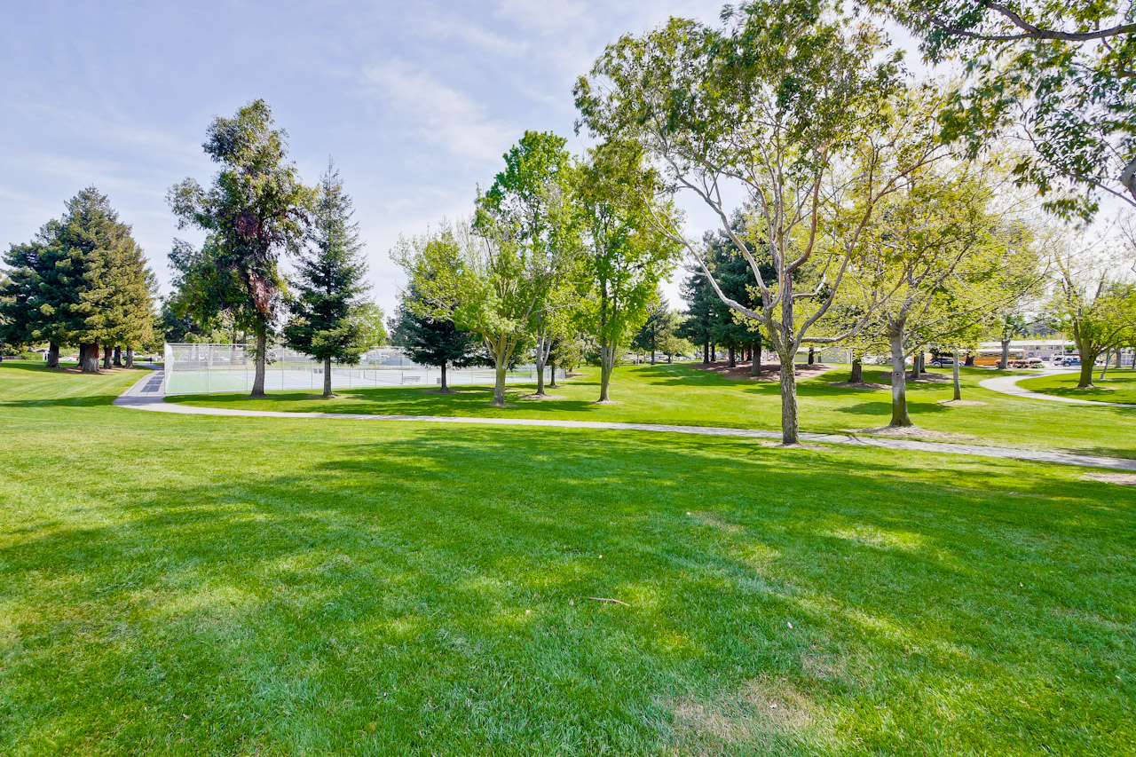 Whisman Park Mt. View 7_mls.jpg