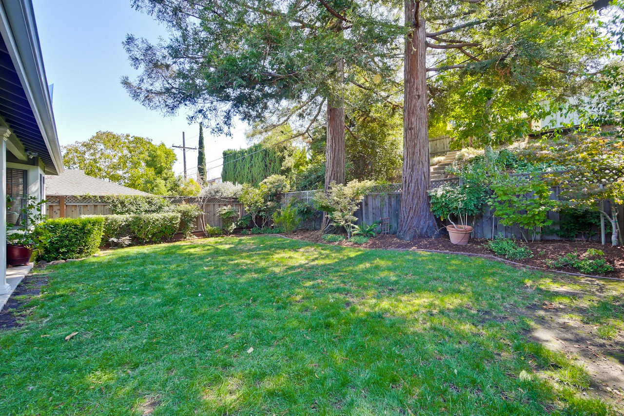 Backyard 5_mls.jpg