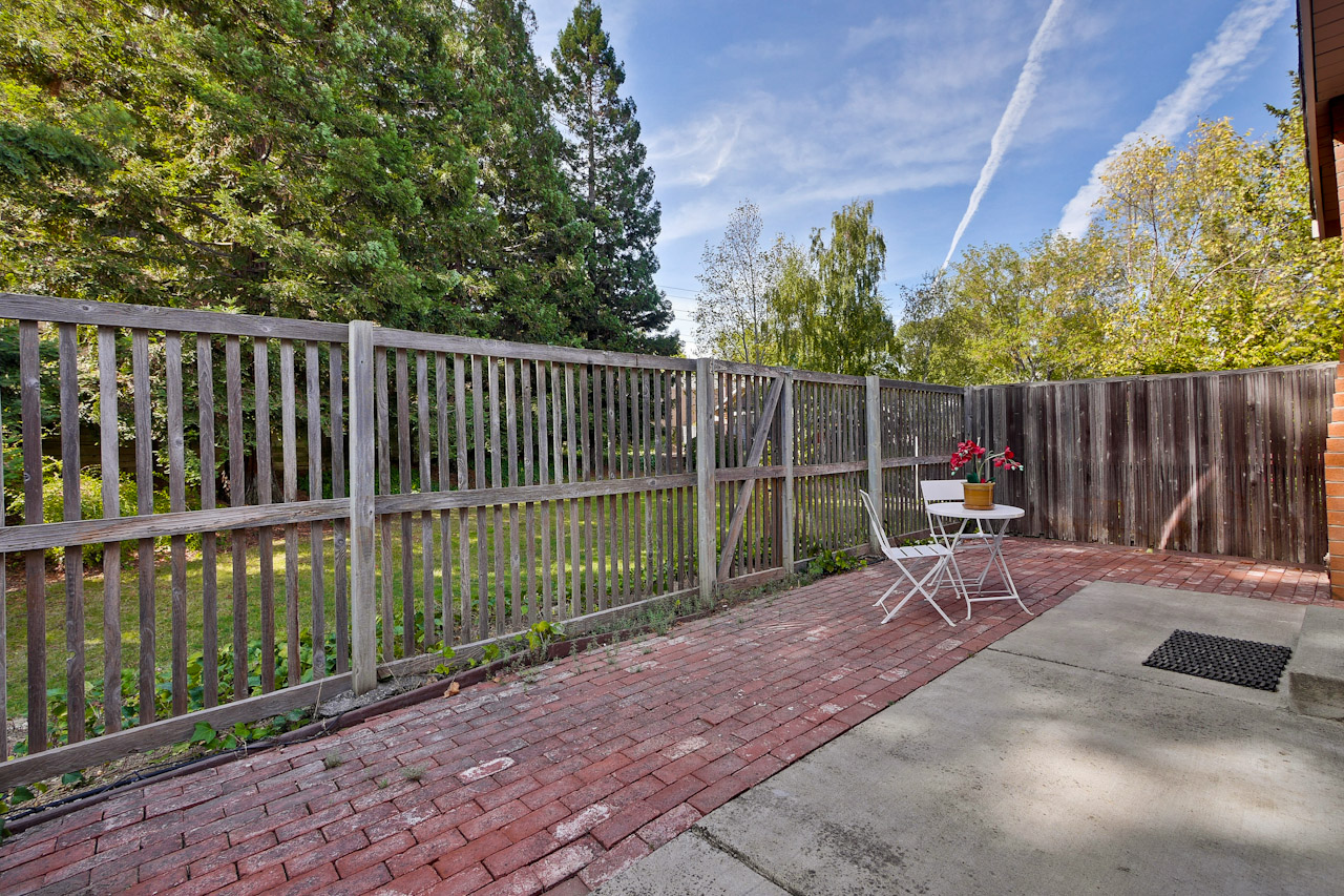 Backyard 2_mls.jpg