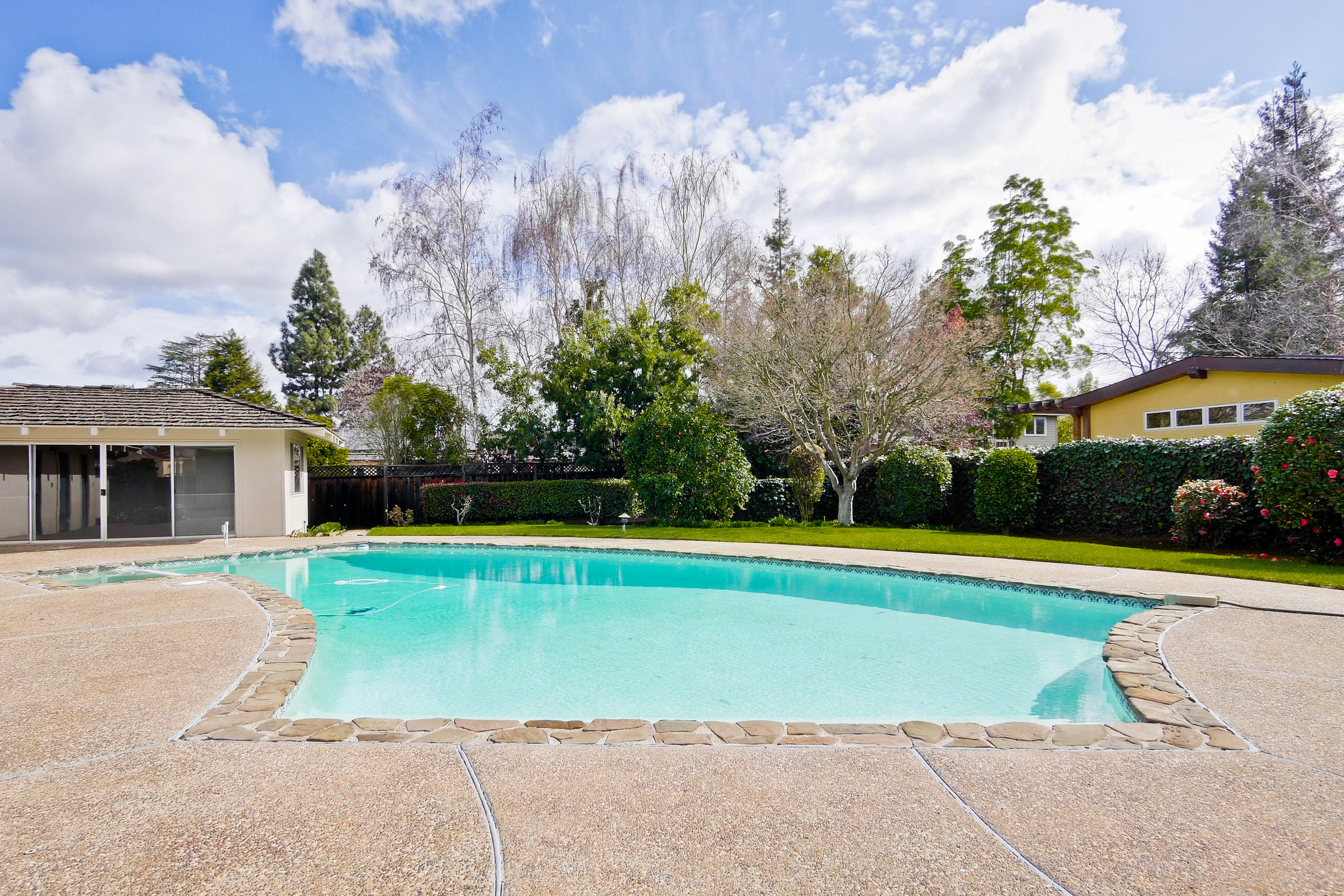 Backyard 7.jpg