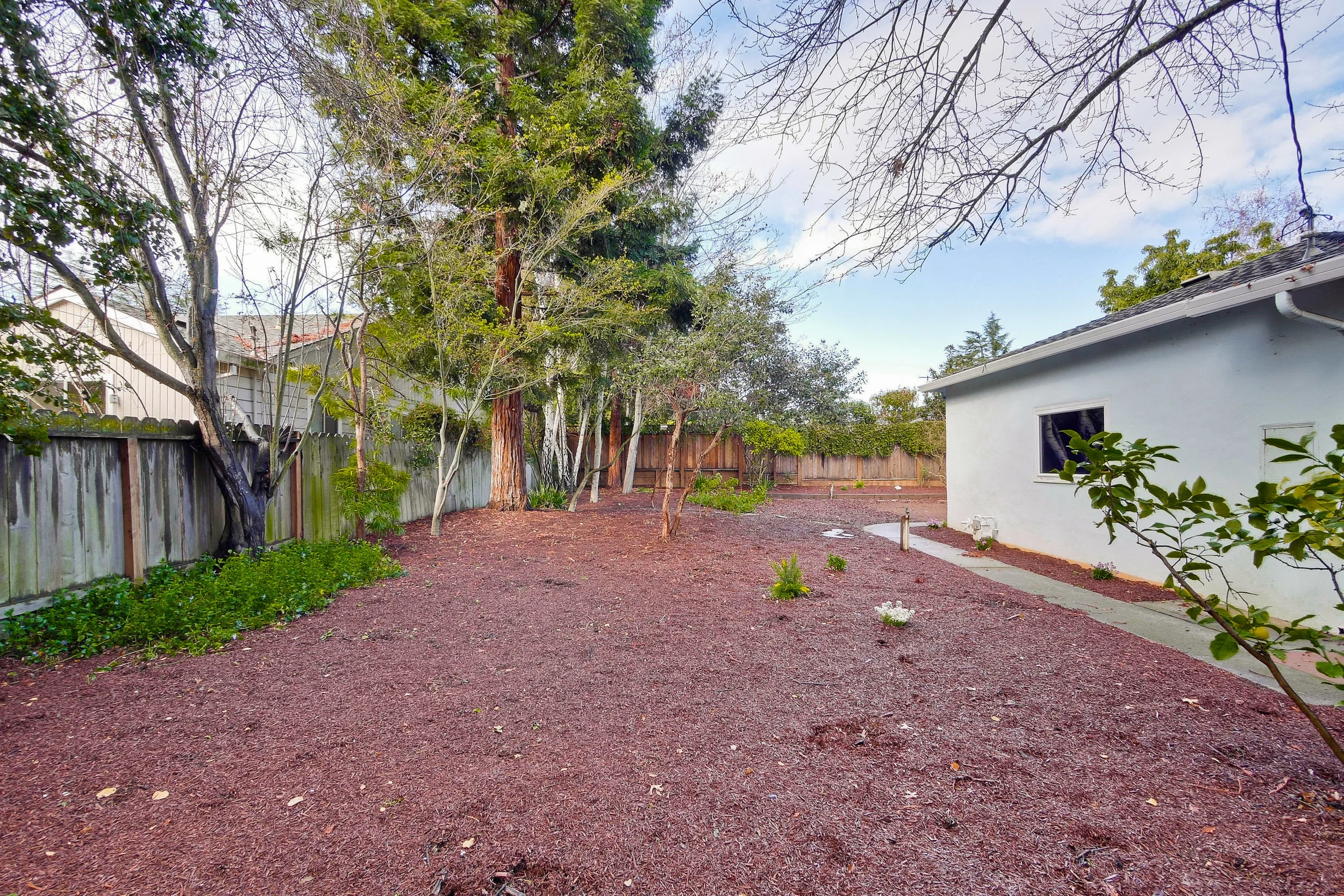 Backyard 4.jpg
