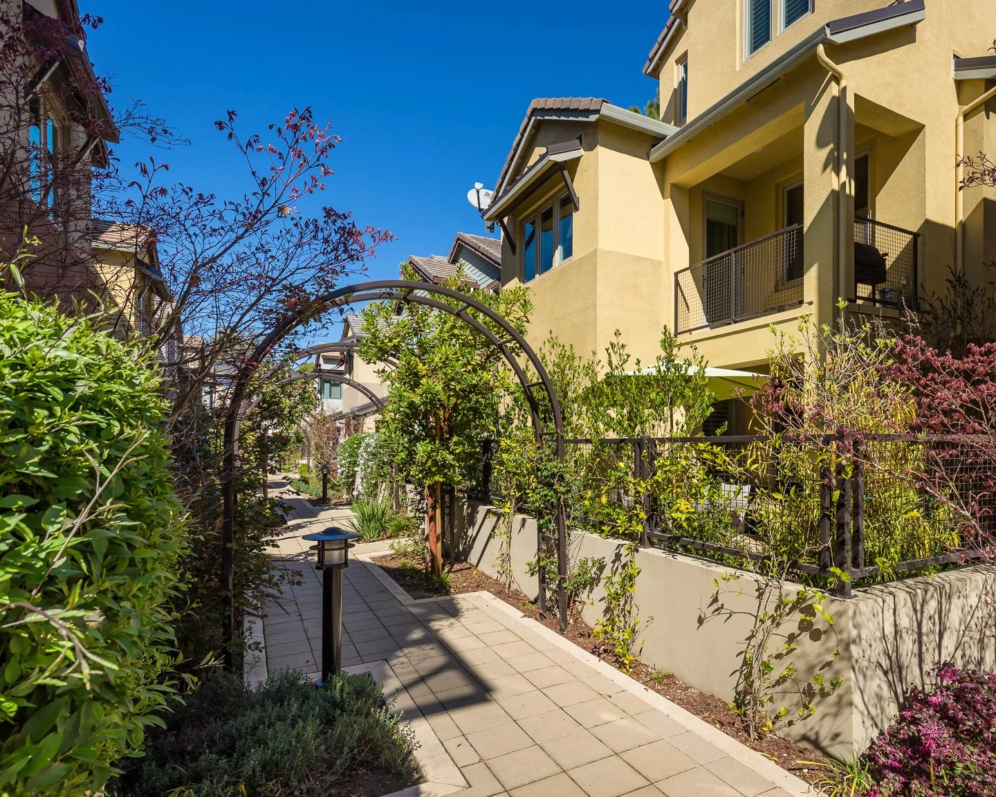 3427 Alma Village Circle-6 - MLS.jpg