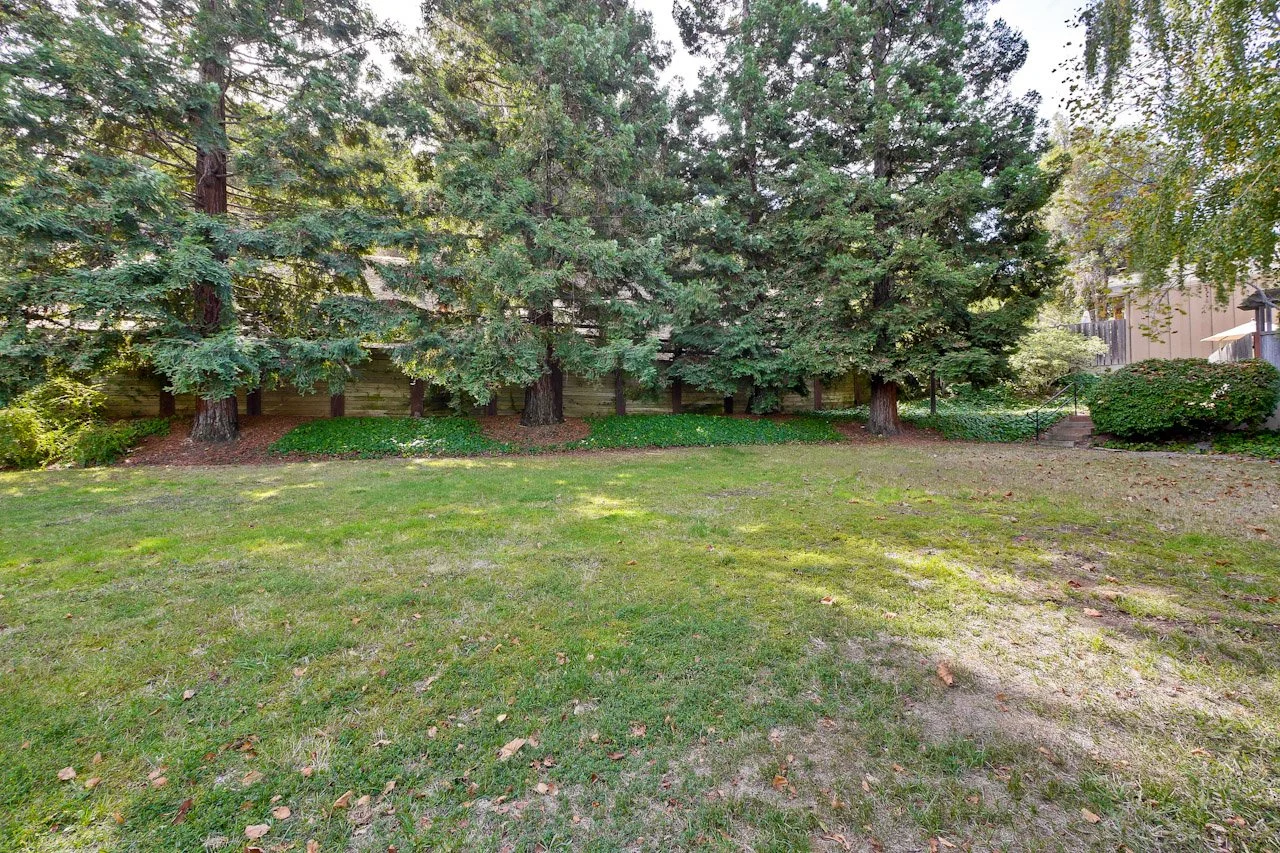 Community      3_mls.jpg