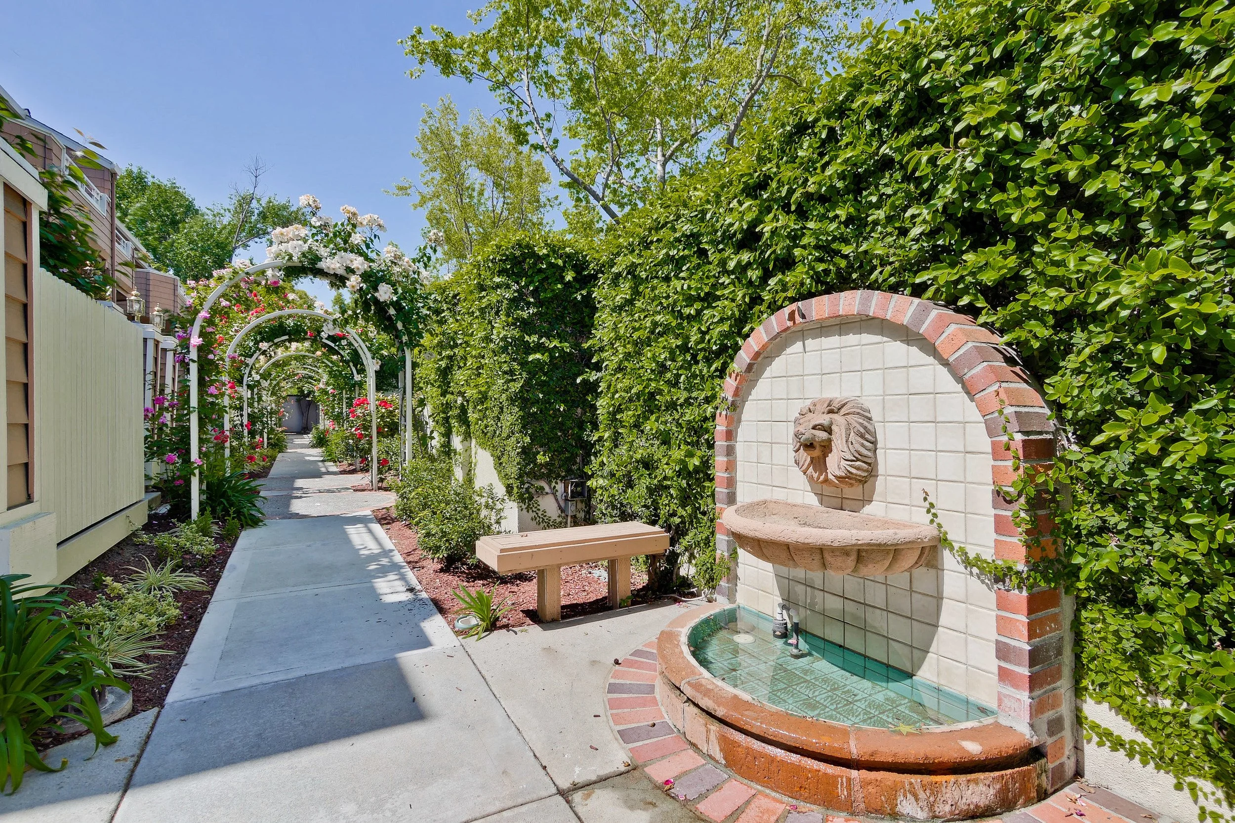 Community      2.jpg