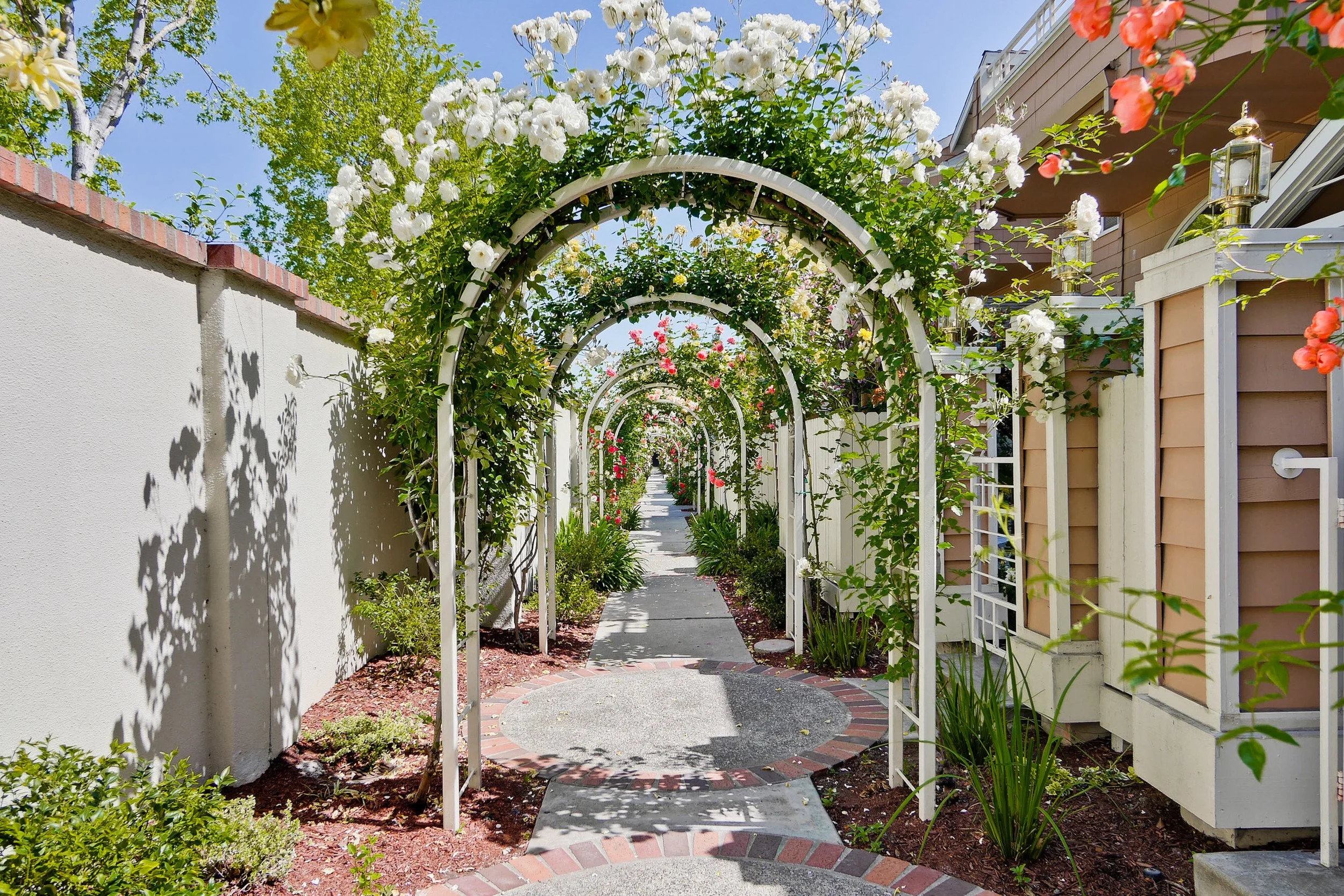 Community      3.jpg