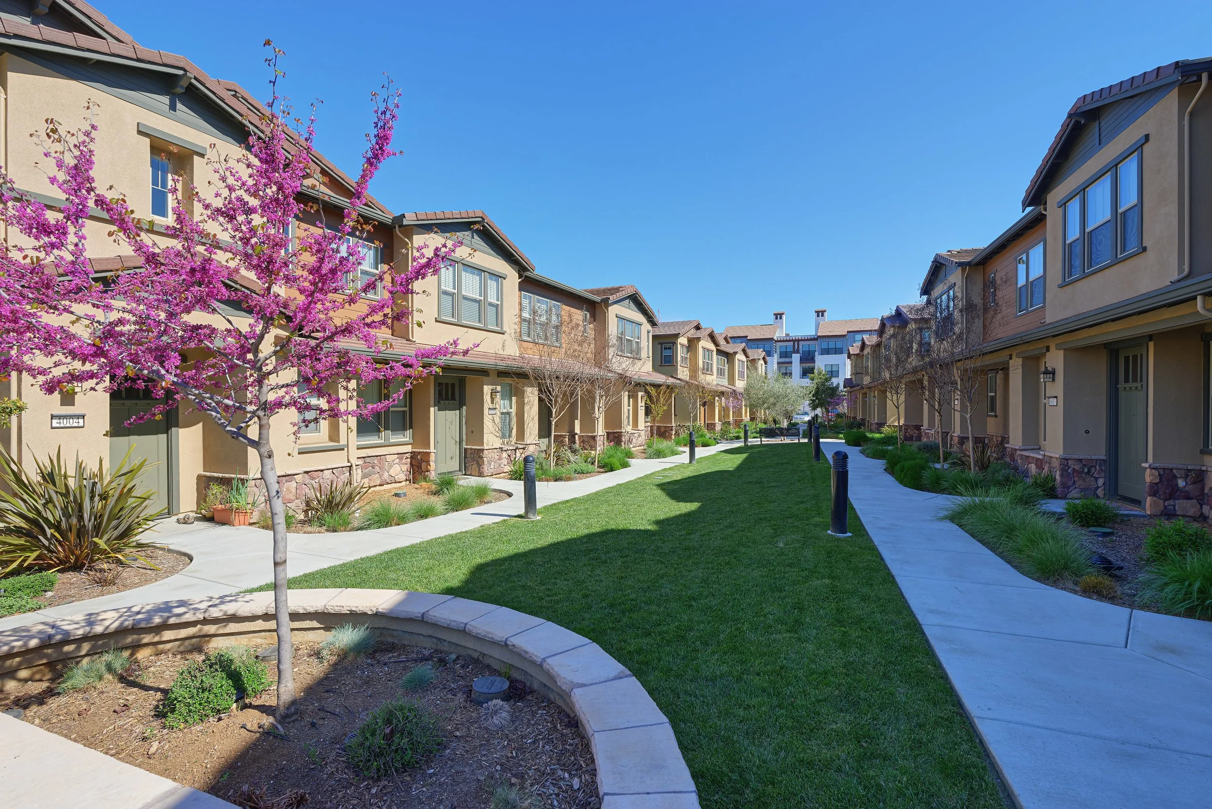 8002 Marcelli Circle, Los Altos