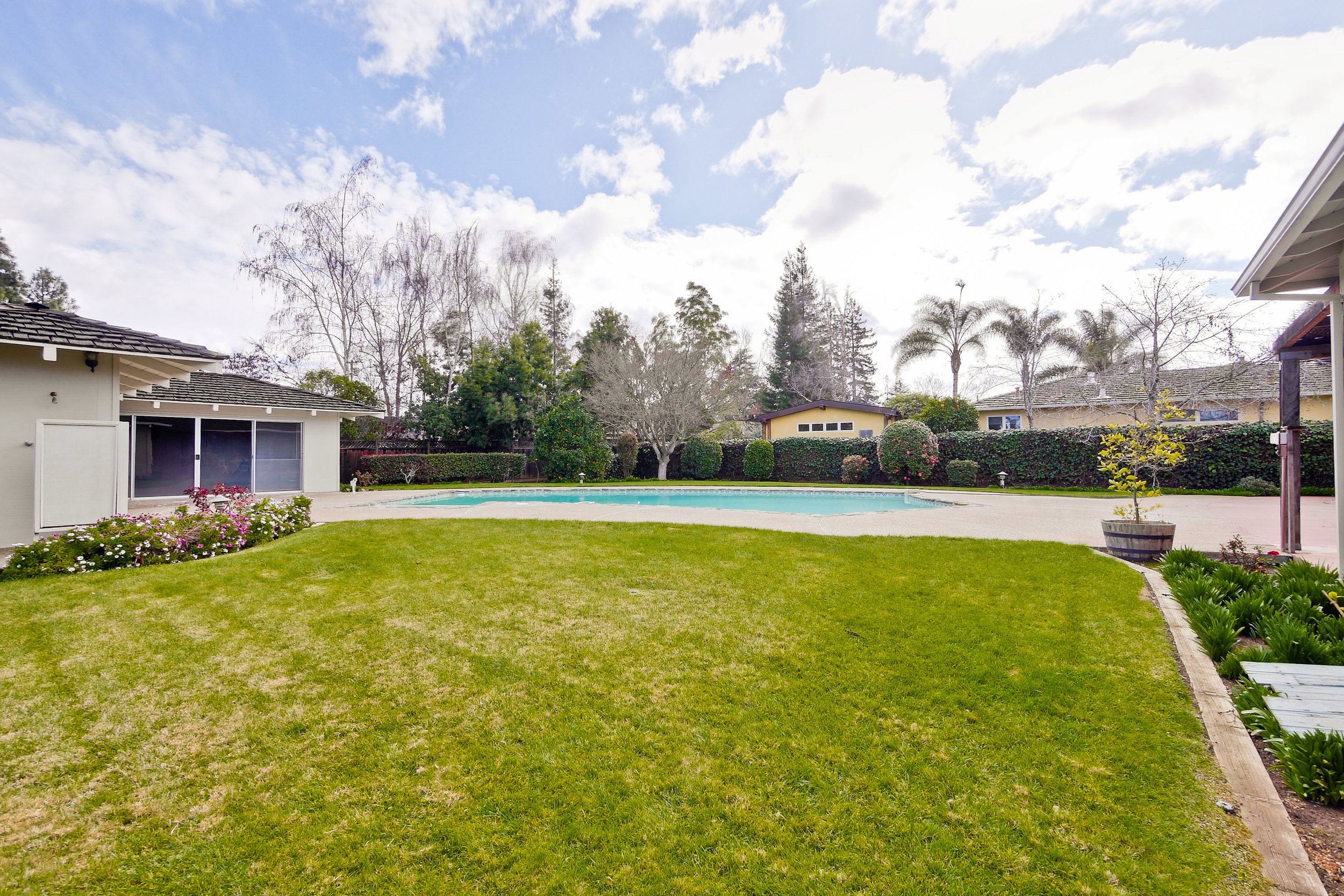 Backyard      12.jpg