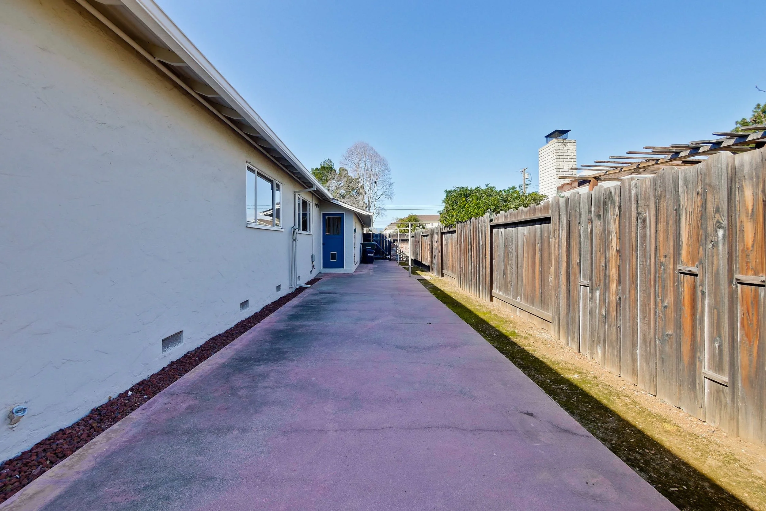 backyard original-00005.jpg