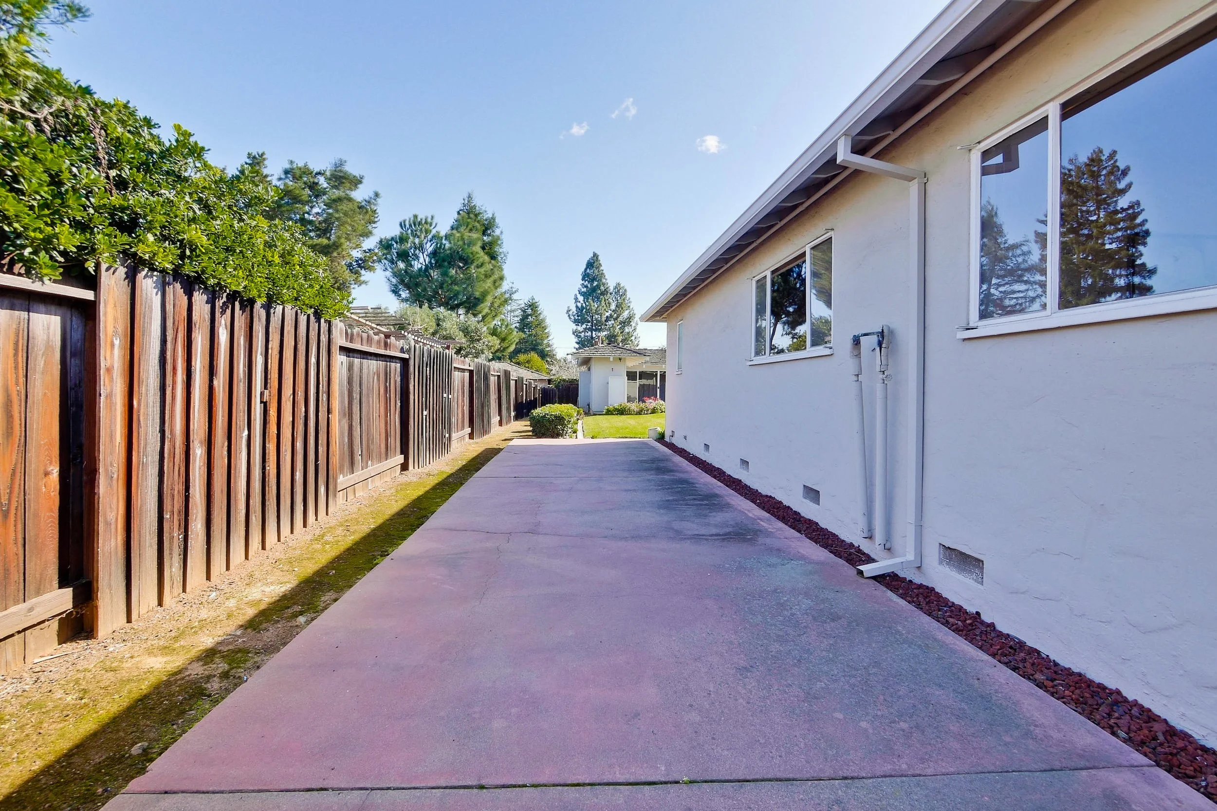 backyard original-00006.jpg