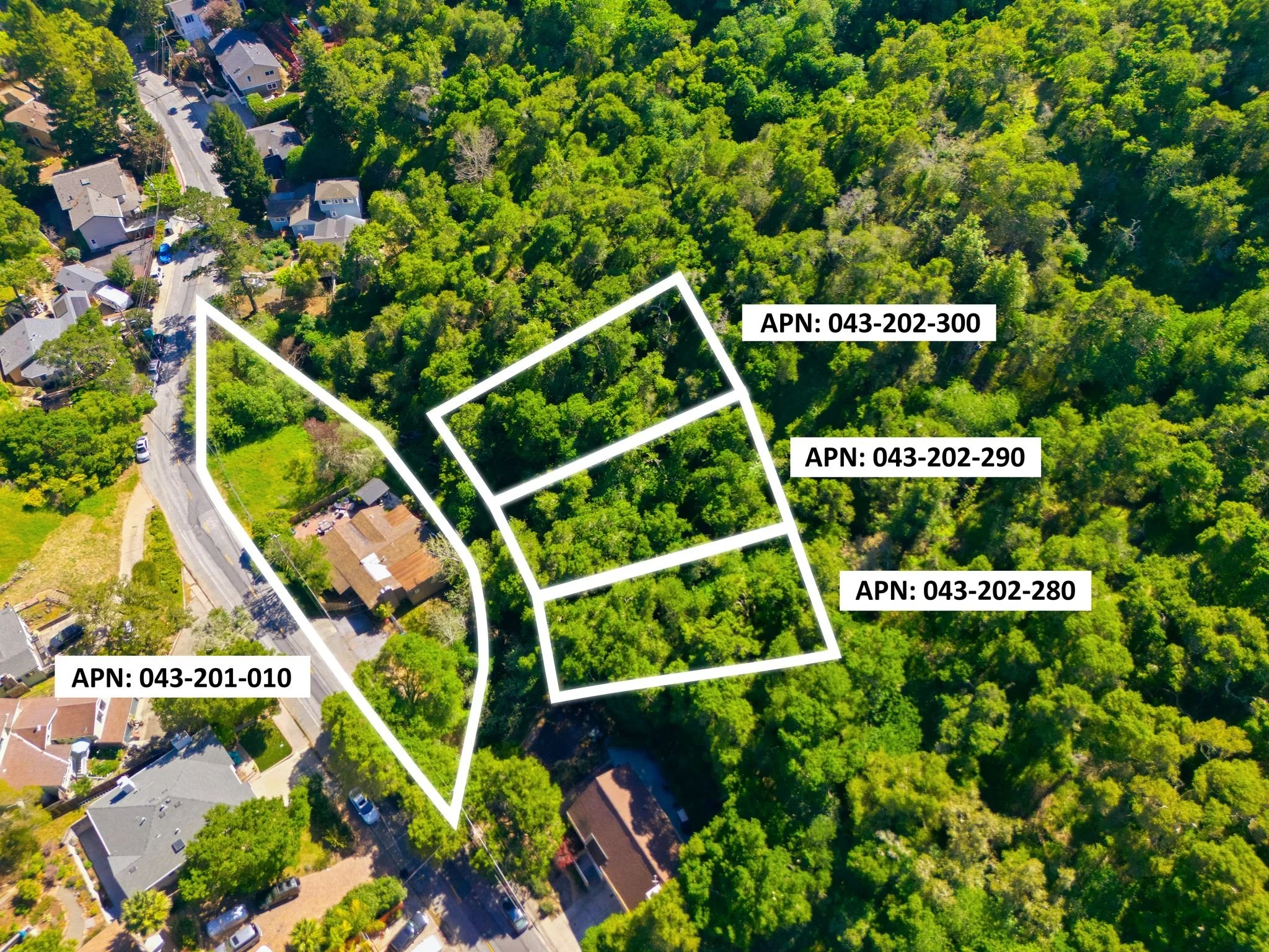 3009 San Juan Blvd-Aerials-5 - with lot line - full collection.jpg