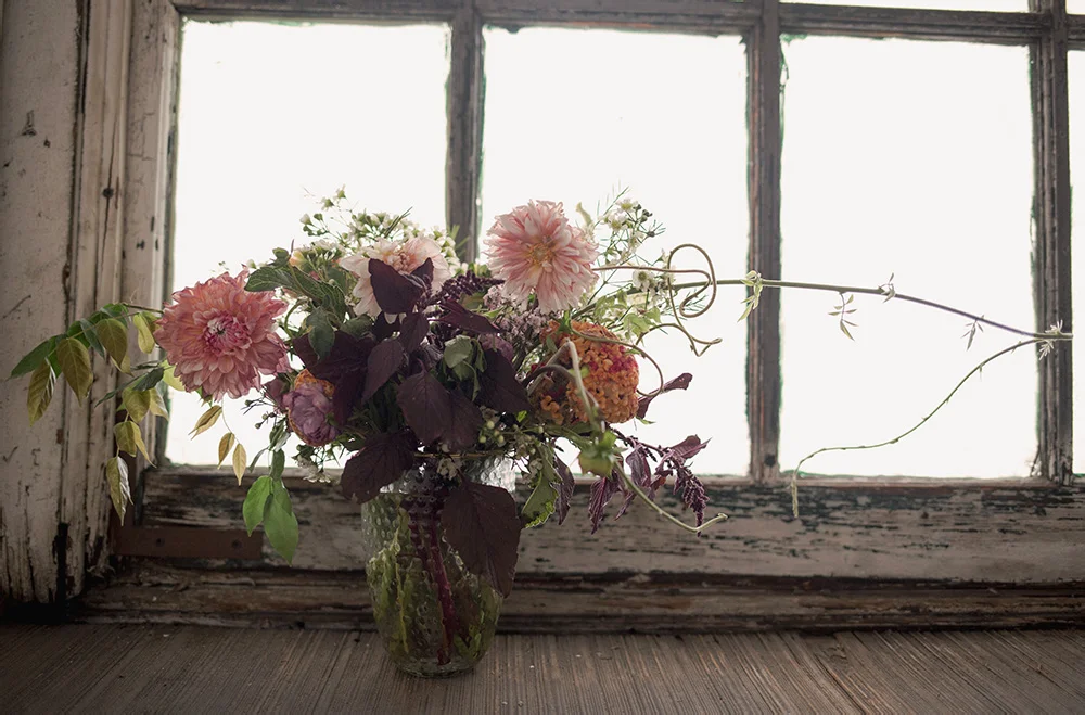 wild flora 1.jpg