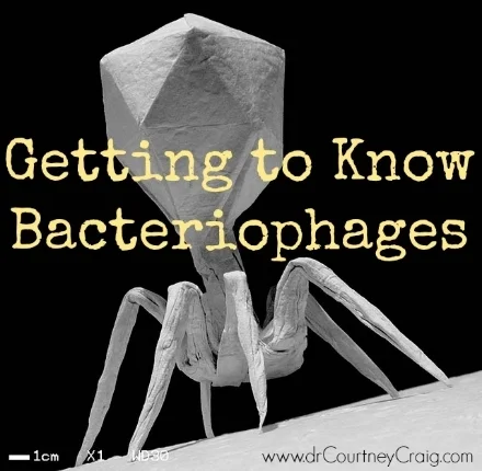 bacteriophage.jpg