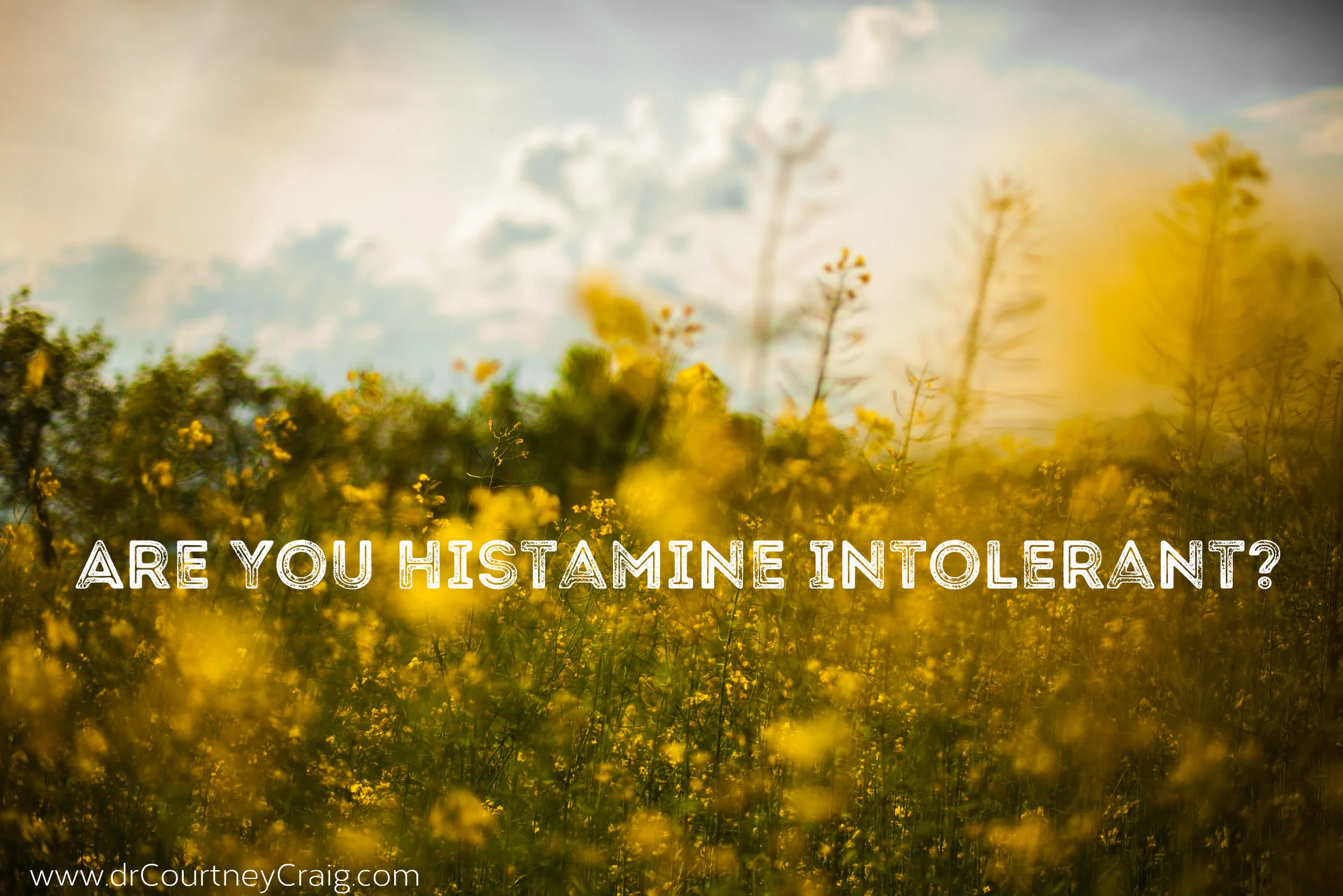 histamine-intolerance.jpg