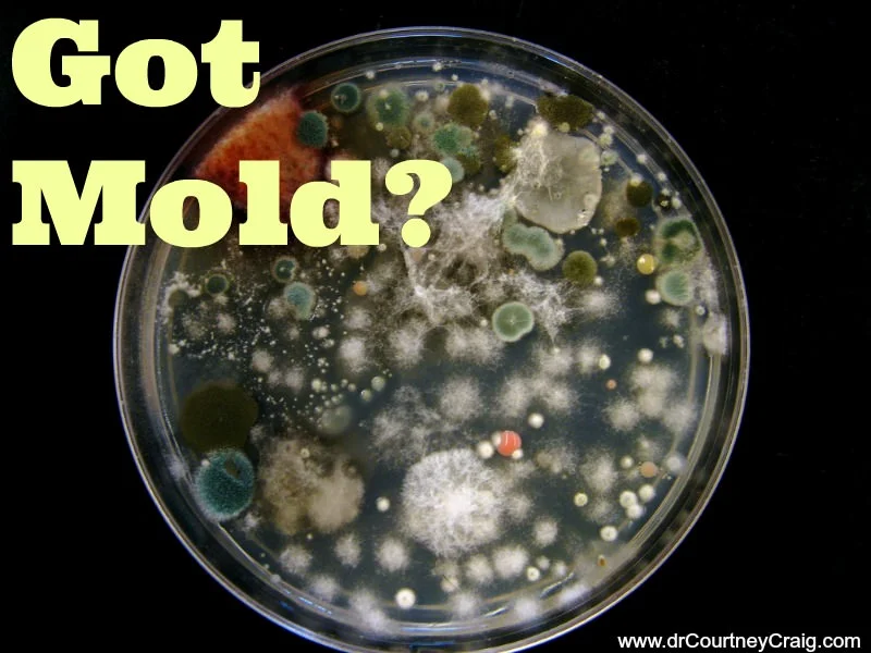 mold-illness-testing.jpg