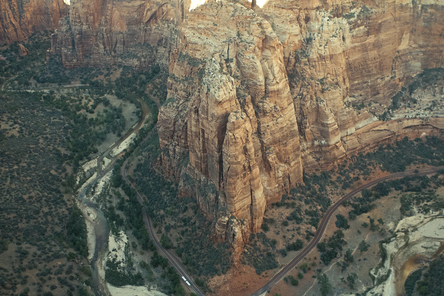 Travel & Bloom: Angel's Landing in Zion