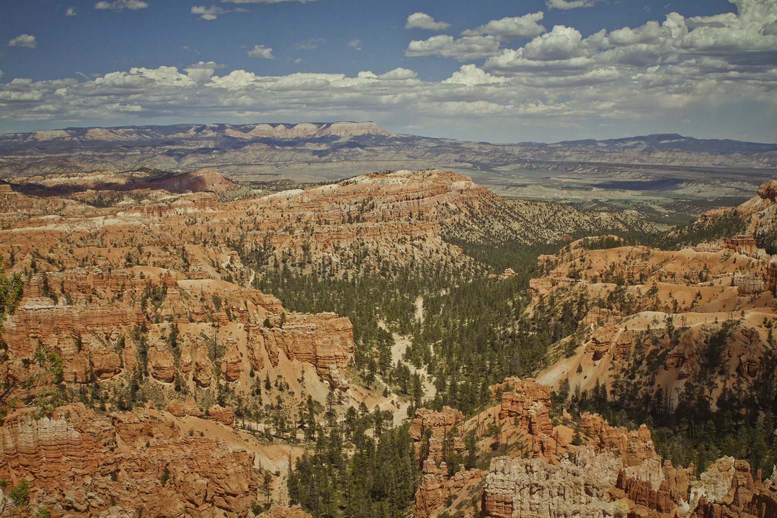 Rhodes Wedding Co Bryce Canyon 14