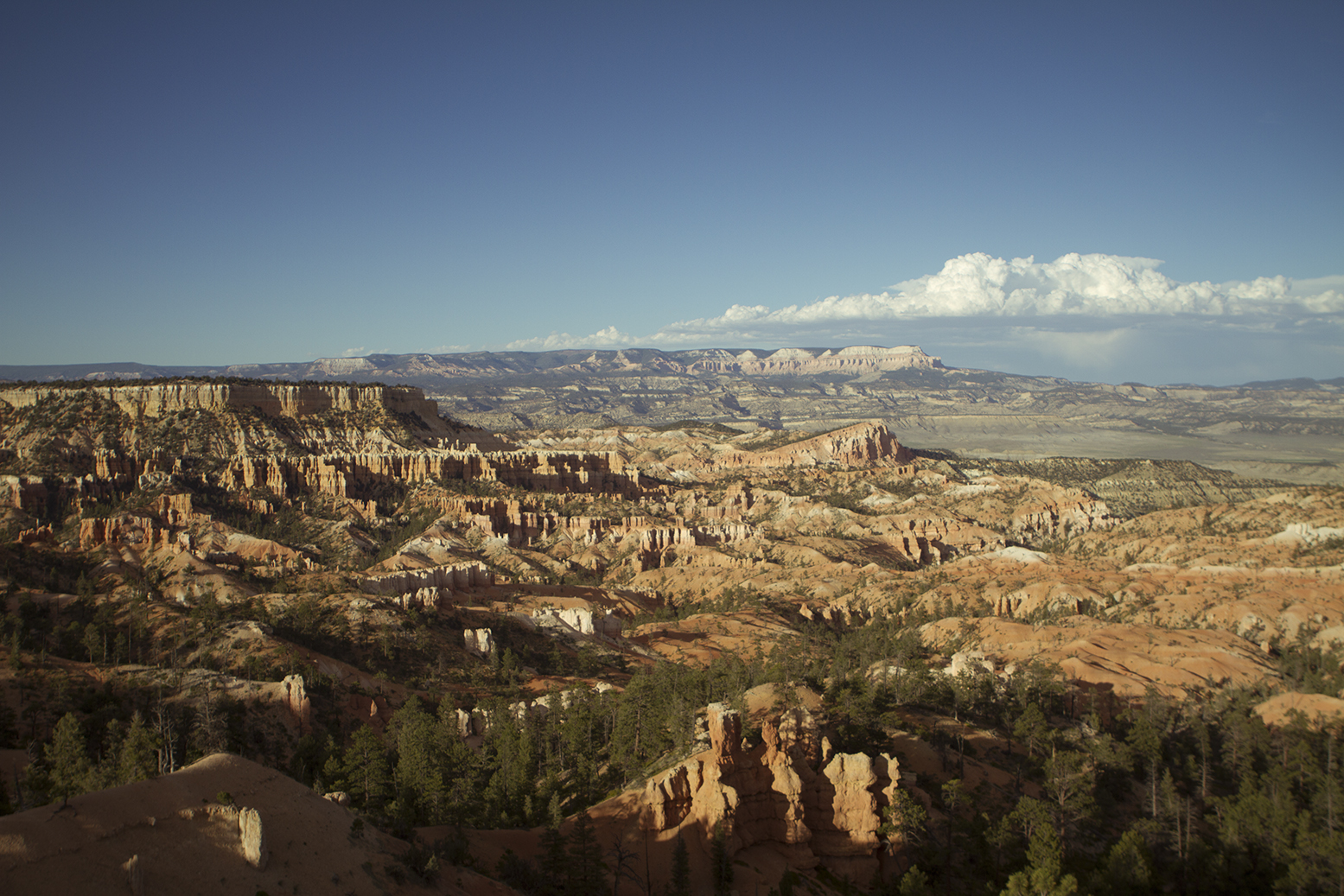 Rhodes Wedding Co Bryce Canyon 34
