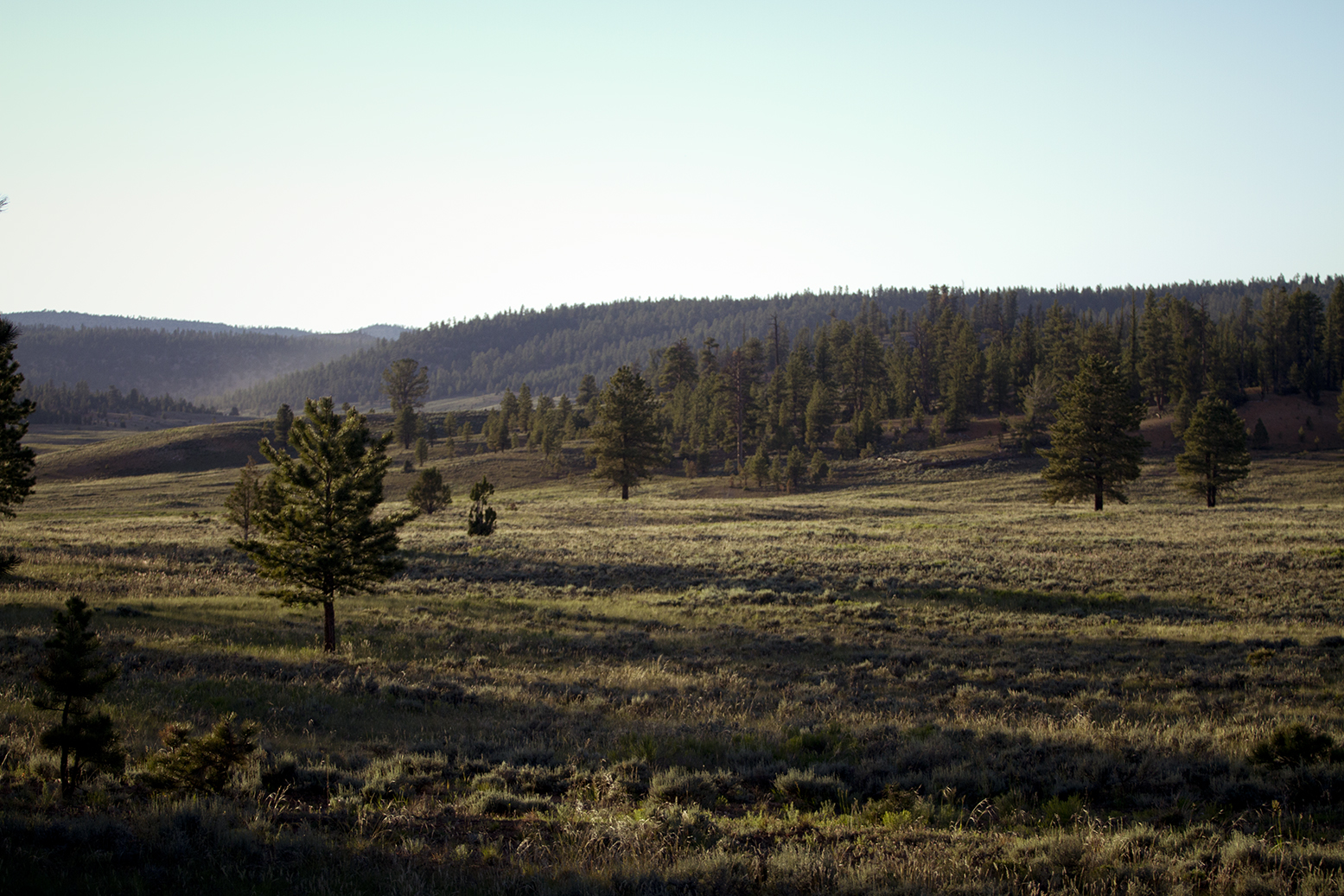 Rhodes Wedding Co Bryce Canyon 36