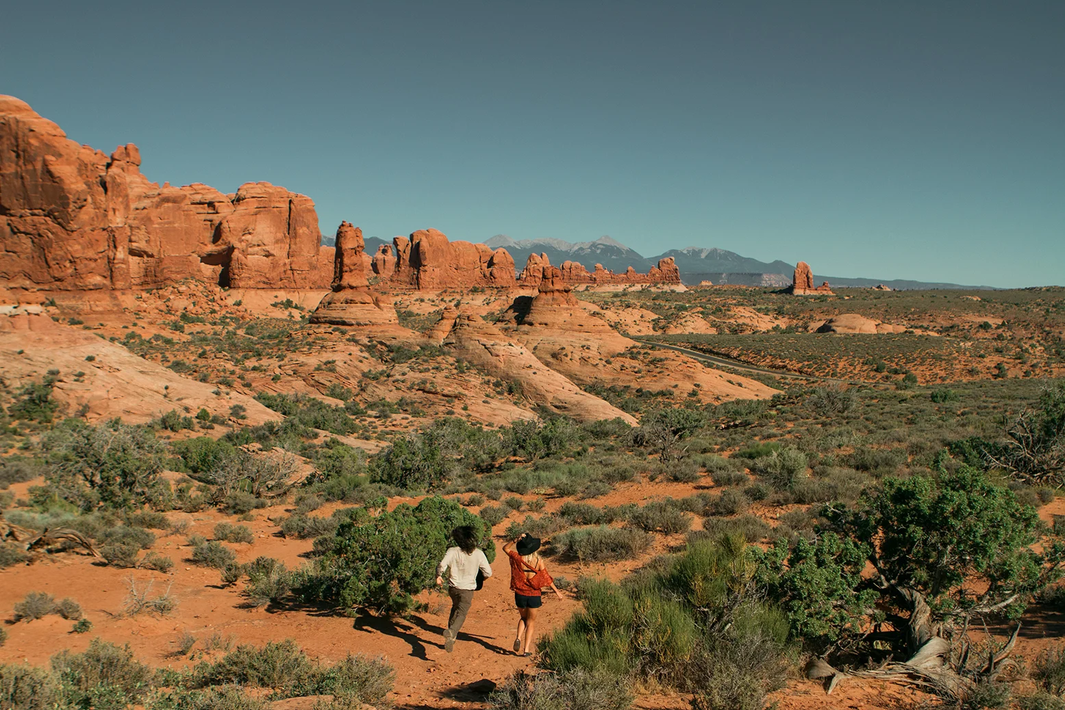 Travel and Bloom: The Southwest