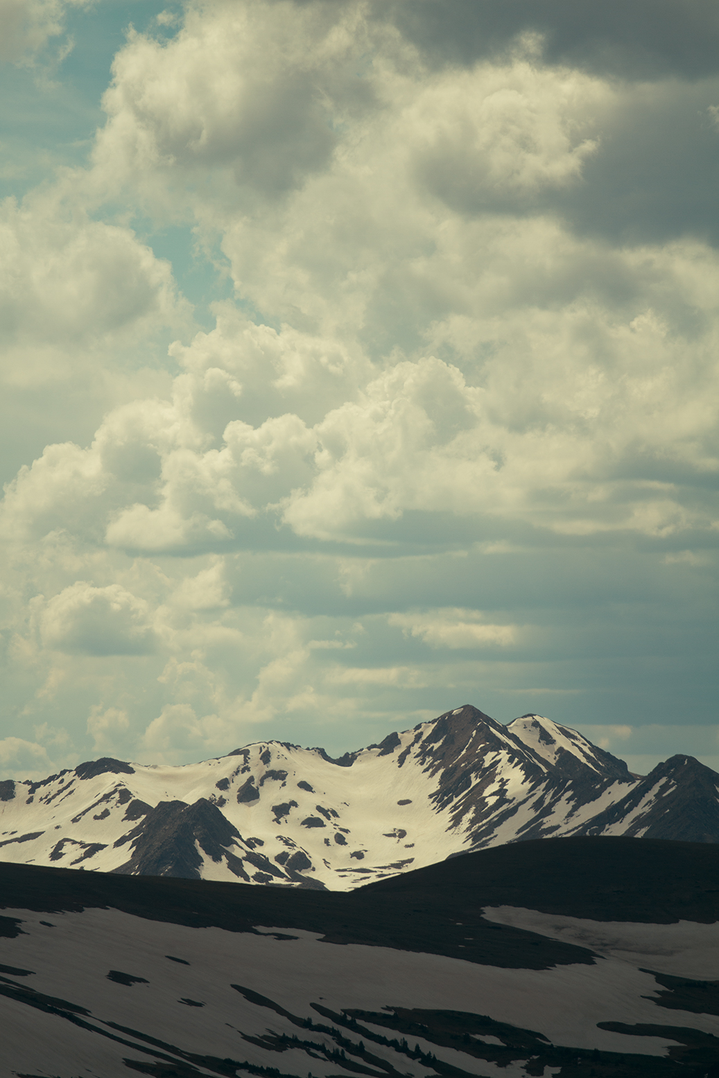 RhodesWeddingCo_Blog_Colorado_20.jpg