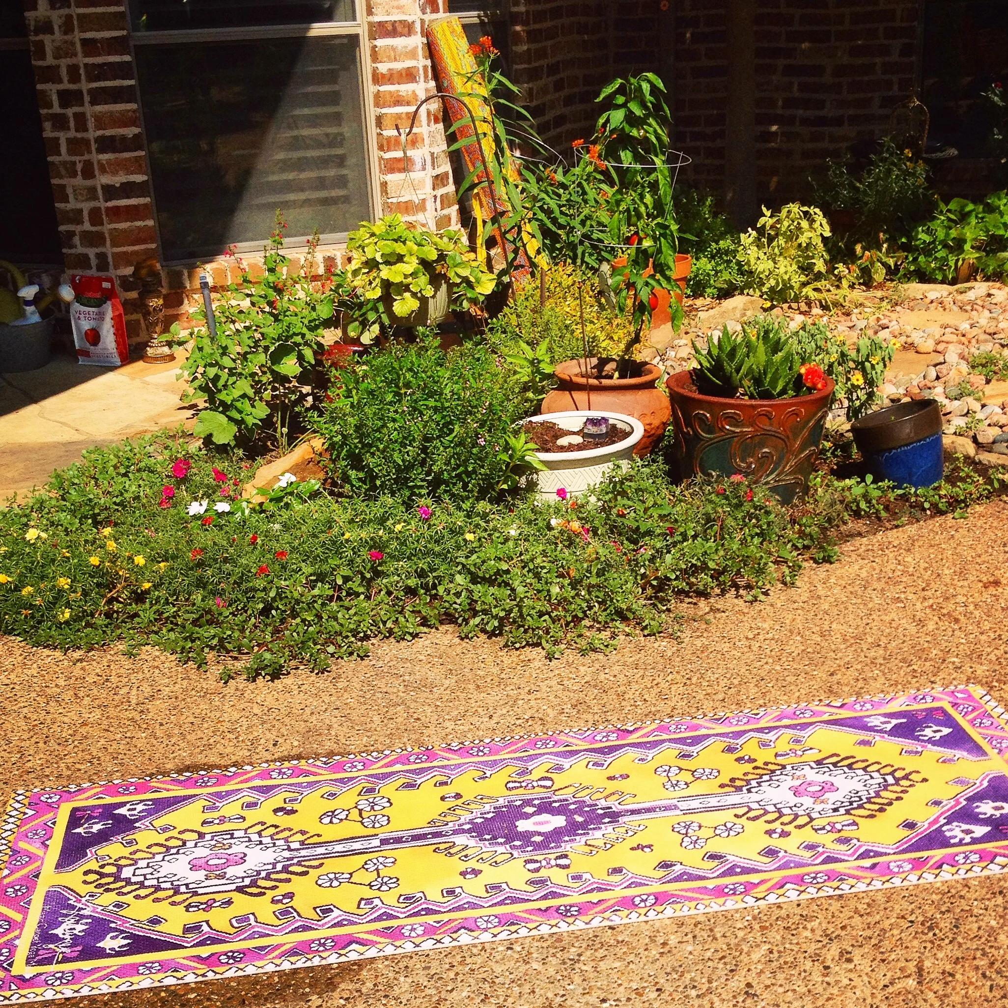 My Why Behind It All