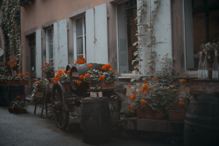 TravelandBloomRibeauville_097.jpg