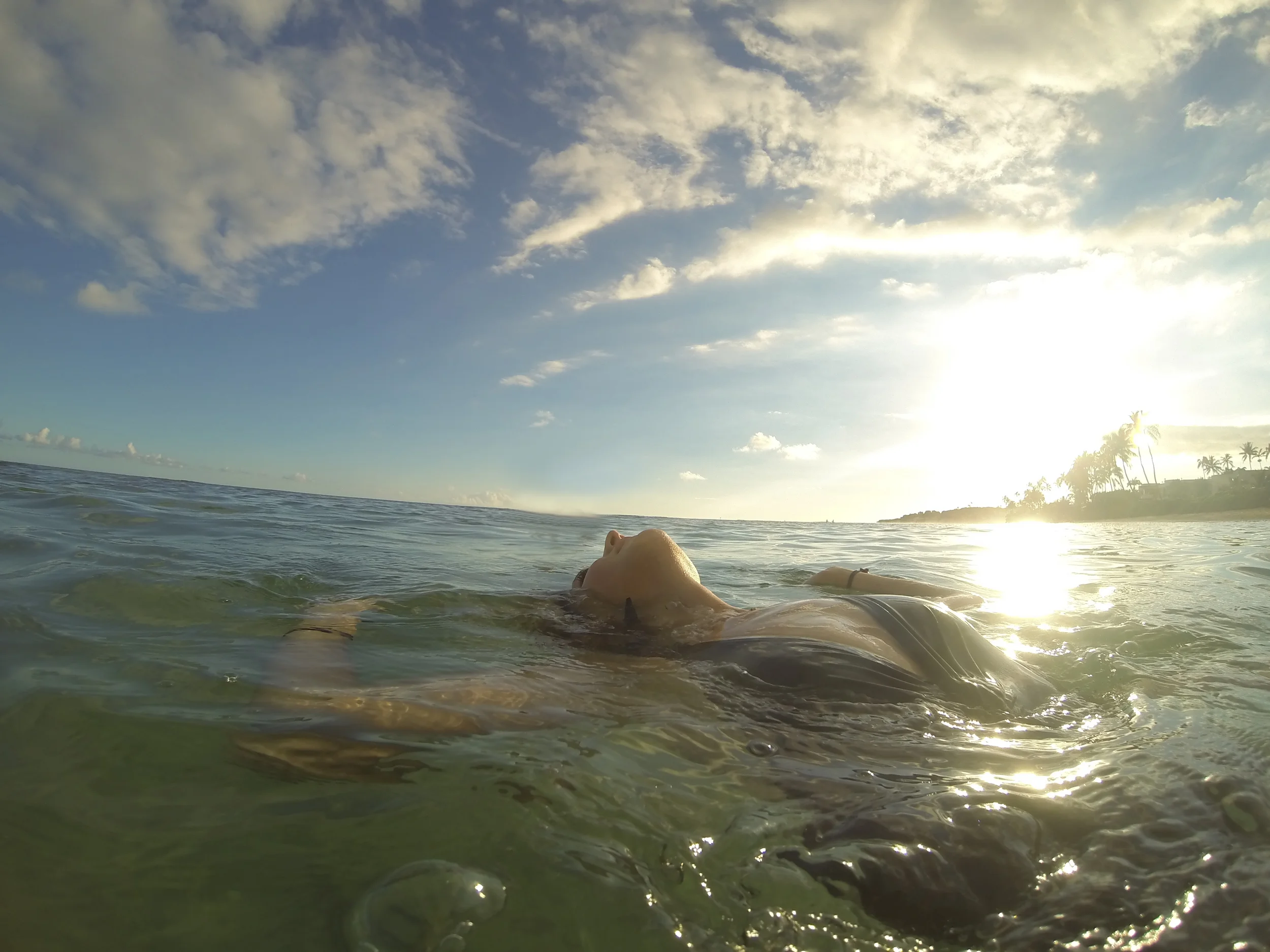 TravelandBloomOahuBeginning_03.jpg
