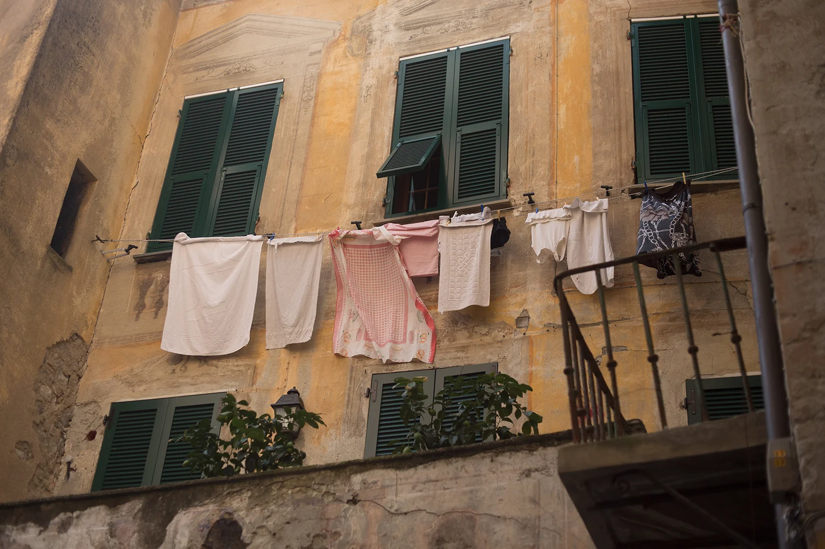 TravelandBloomCinqueTerre_035.jpg