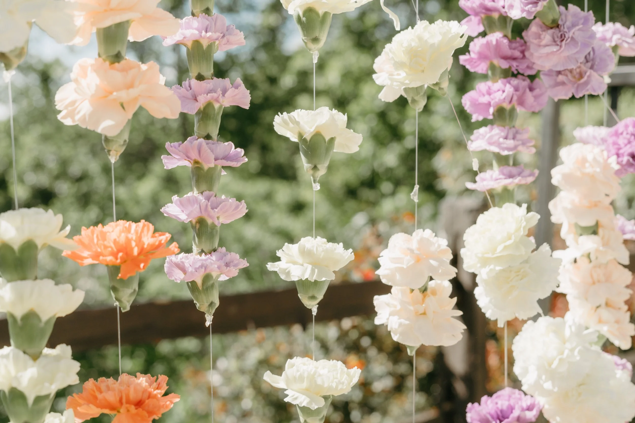 BRIANA_AUTRAN_PHOTOGRAPHY-AMBIKA+CAMERON_-14-DSC01213.jpg