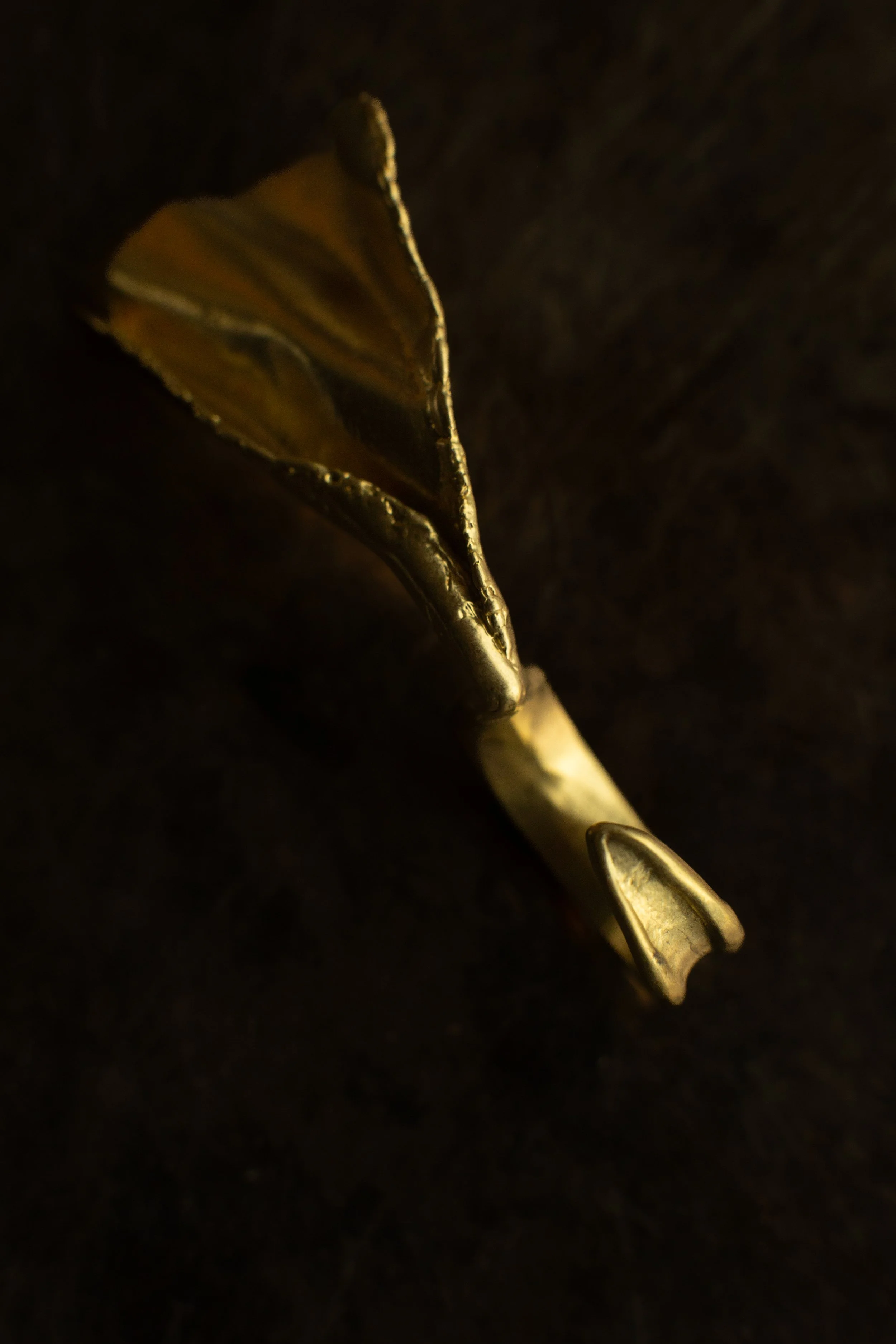 741A0403.jpg