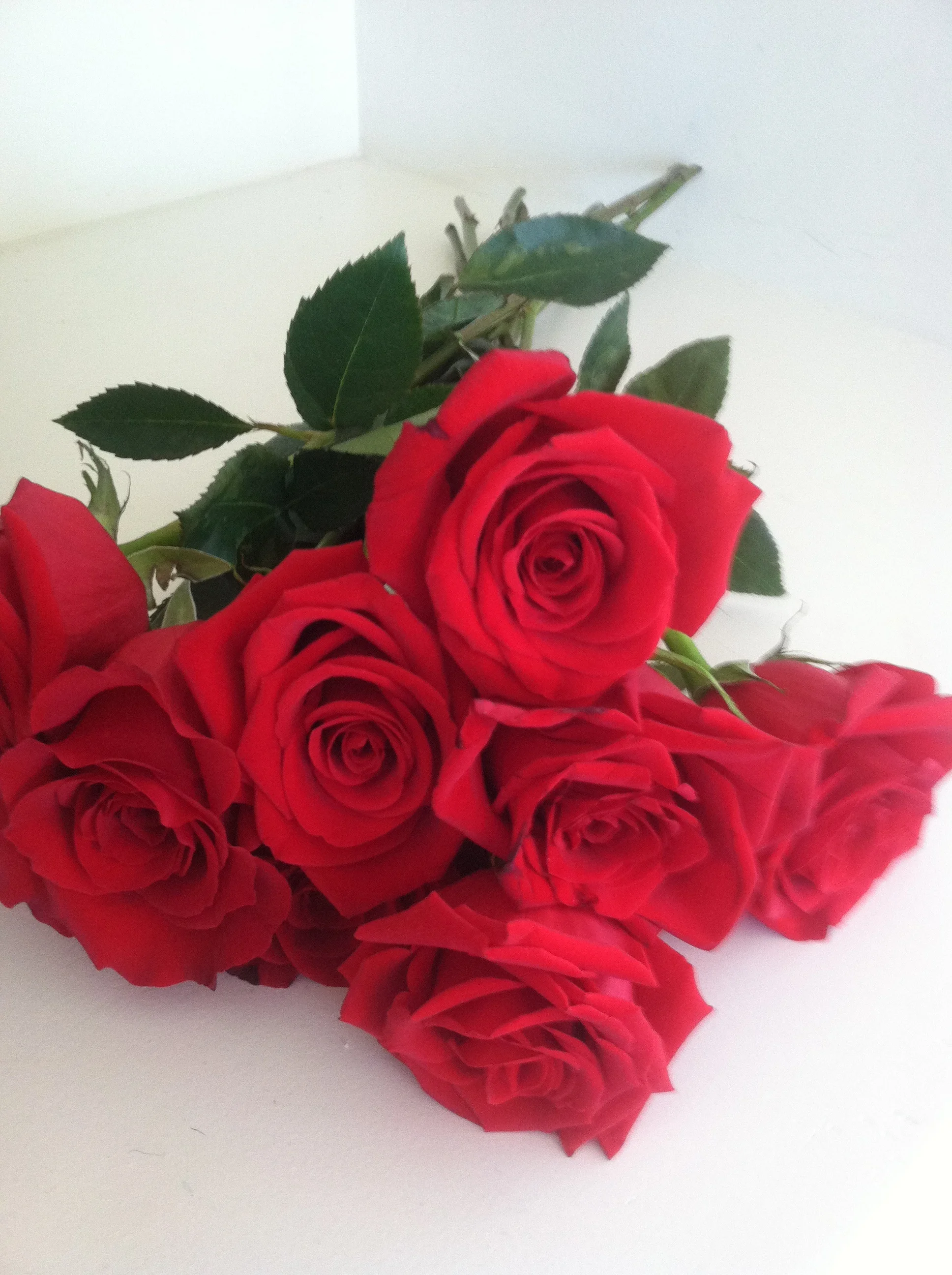 Valentines Day Roses Patient Care.jpg