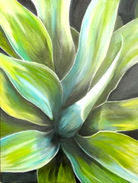 Agave