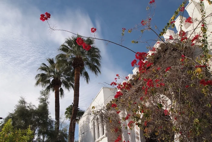 Roam+Board :: Korakia Pensione