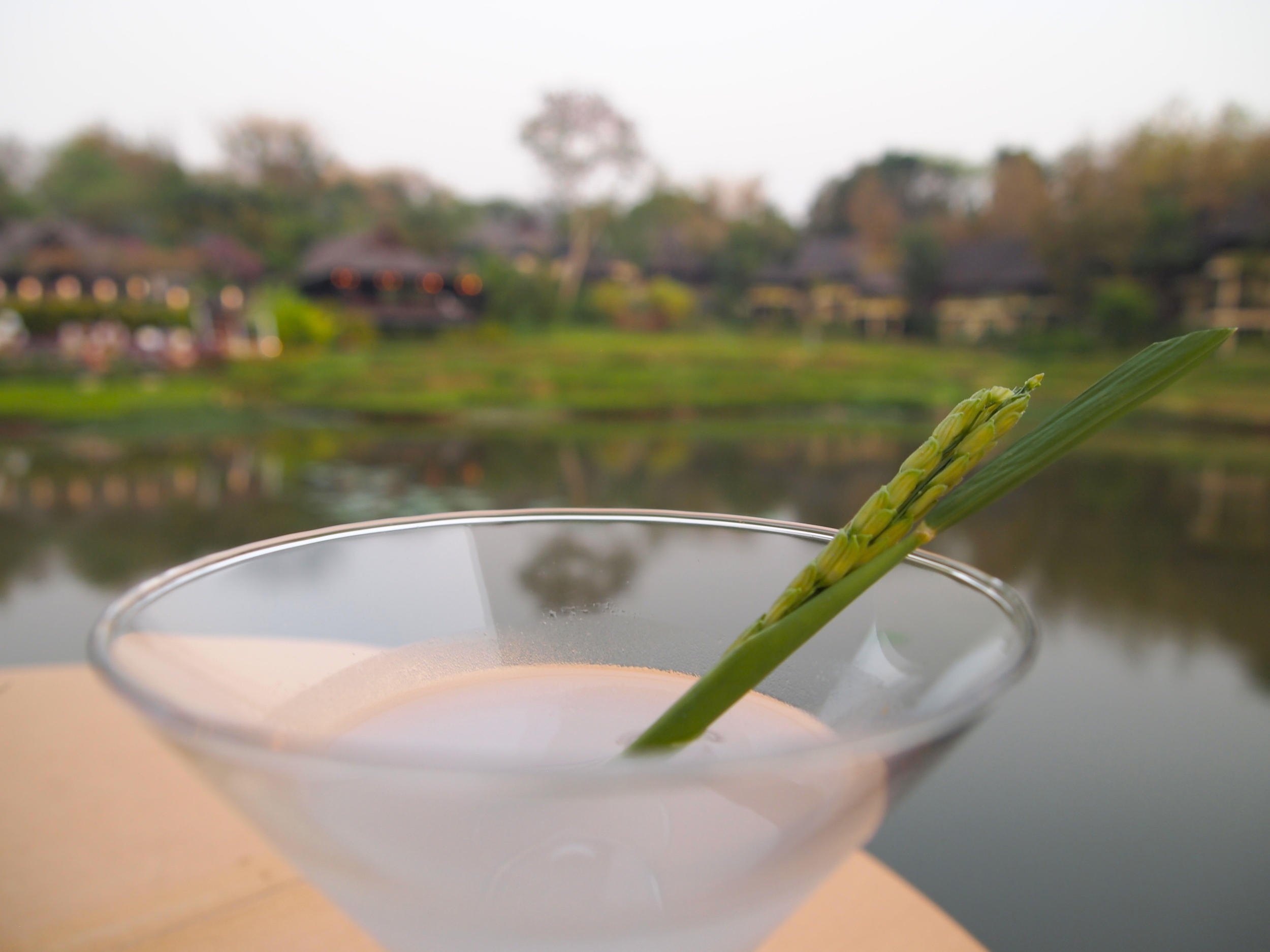 Ask for it: Rice Field cocktail
