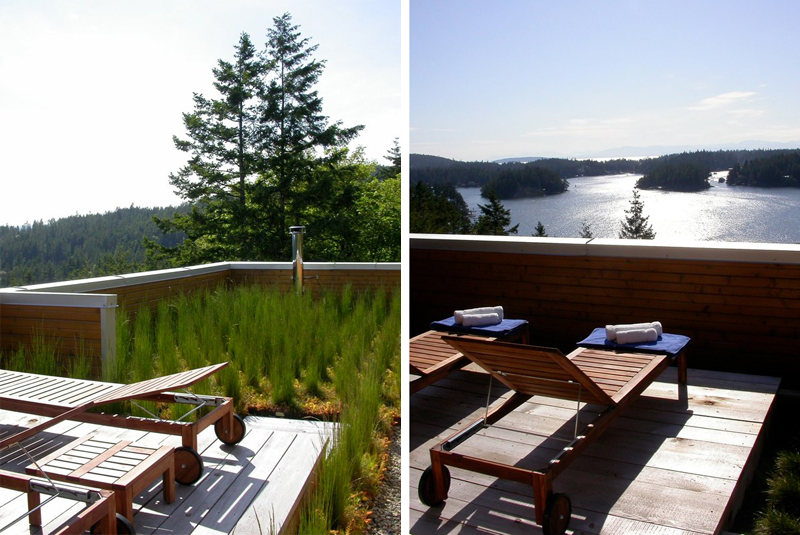 Green roof deck and harbour view