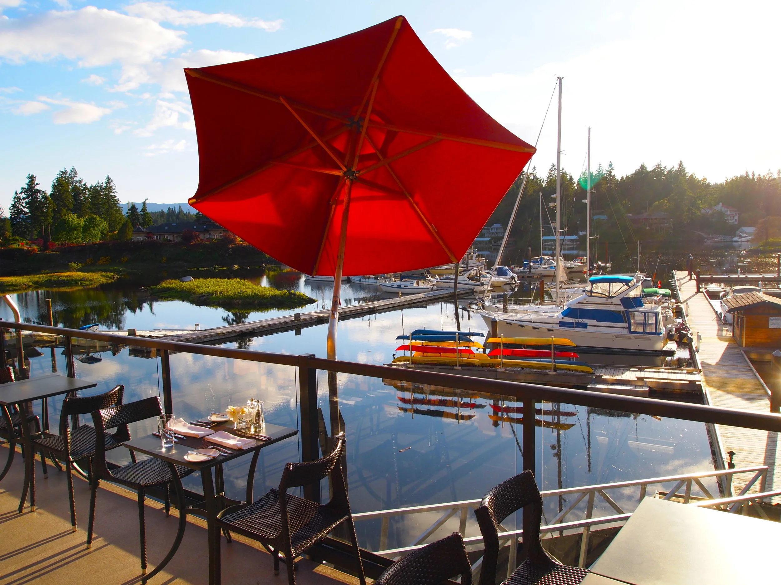 Fresh and Foraged on the Sunshine Coast  