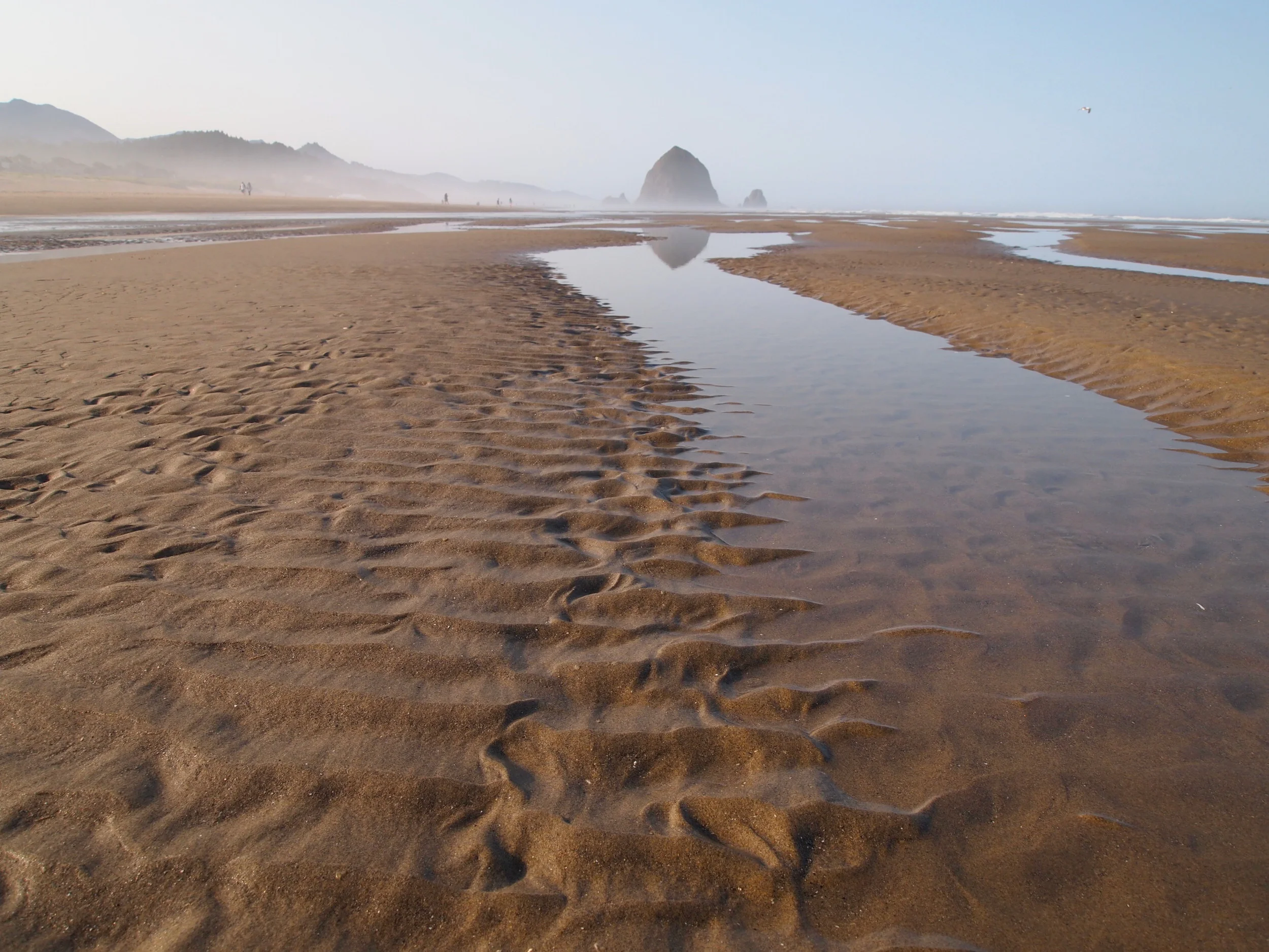 Never-ending sandbar.