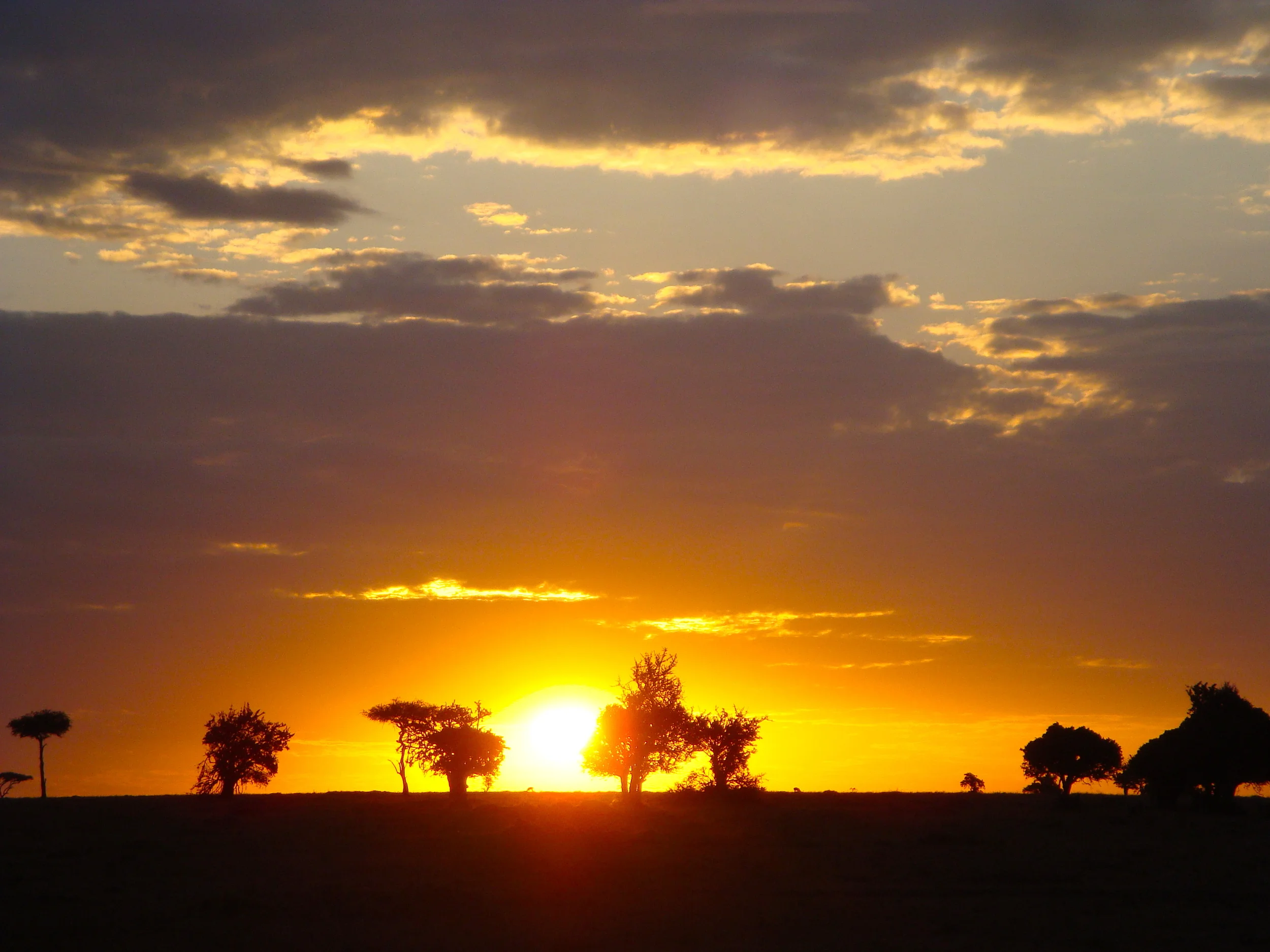 Travel Splurge :: The Great Migration 